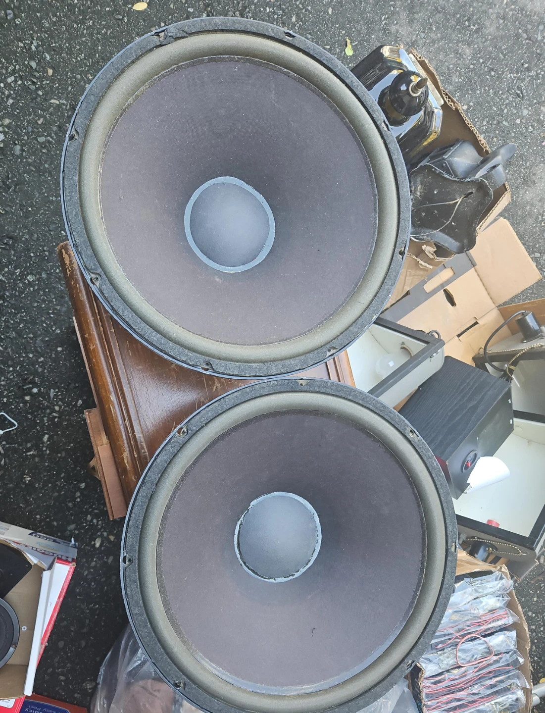 Two Vintage 12-inch Speakers