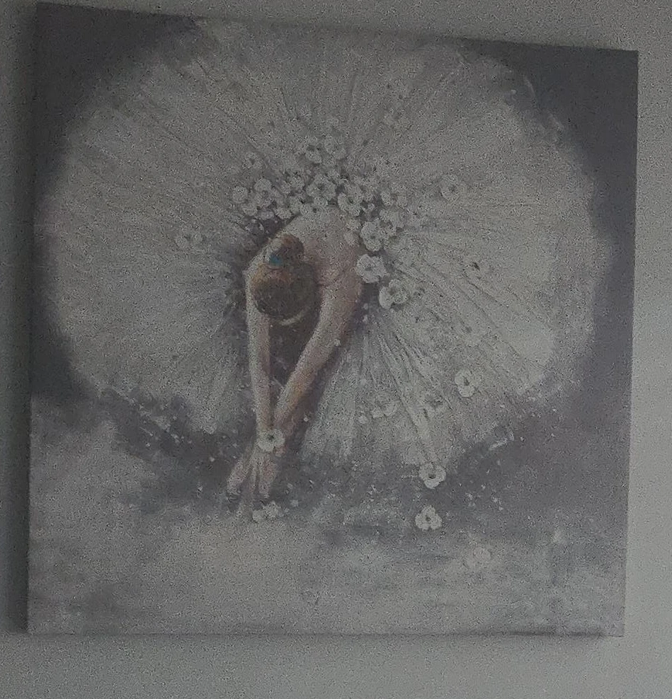 Ballerina Wall Art Canvas