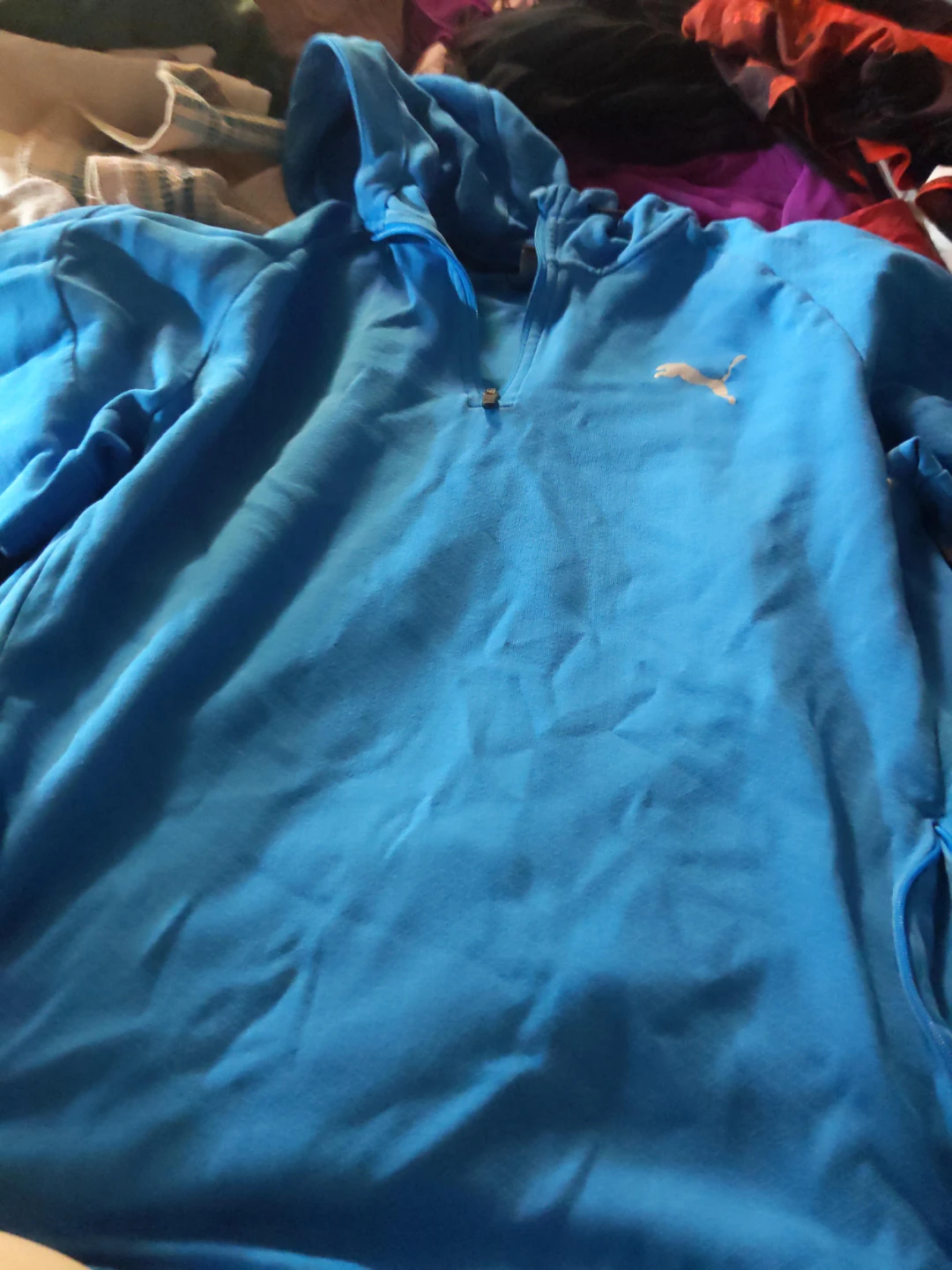 Puma Blue 1/4 Zip Hoodie
