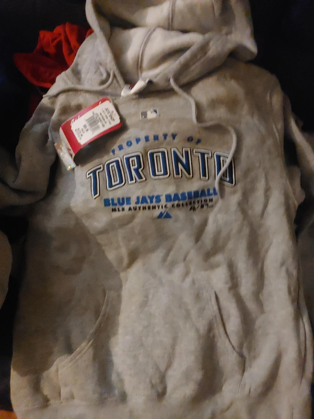 Toronto Blue Jays Hoodie