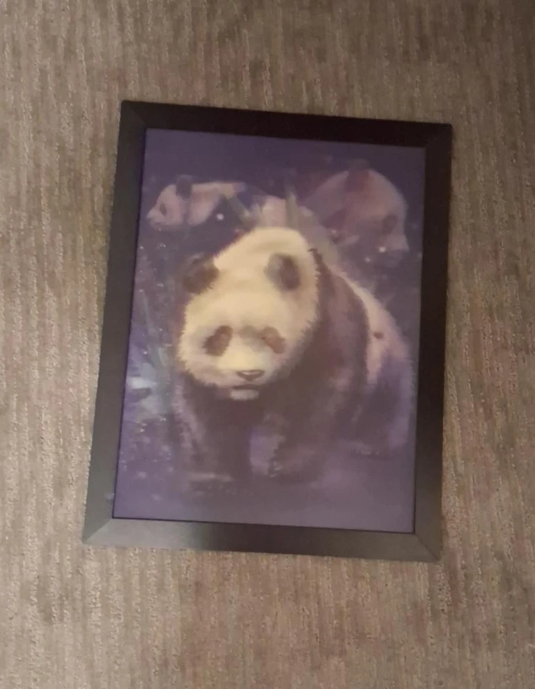 Framed Panda Wall Art