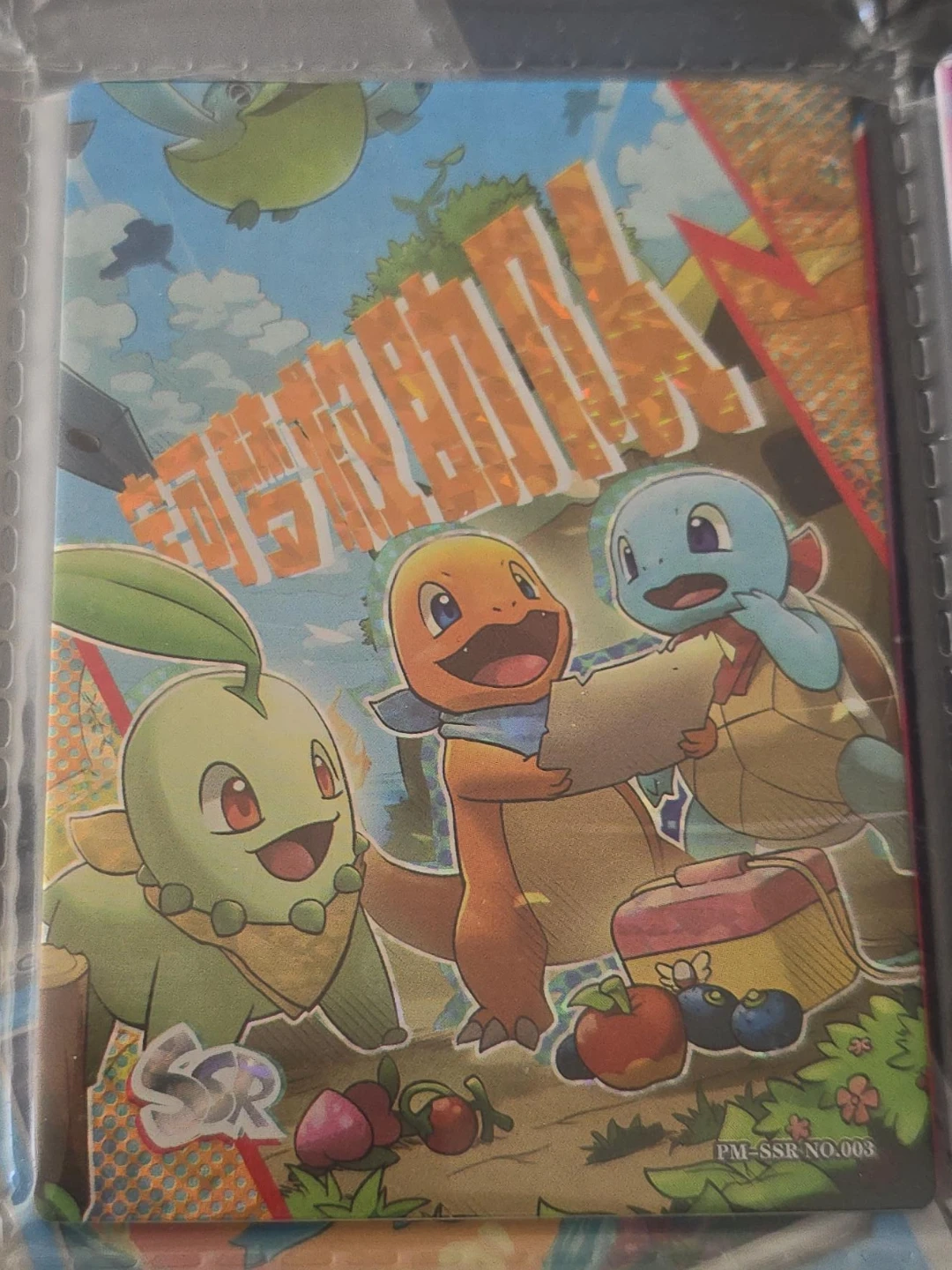 Pokemon Trading Card PM-SSR NO.003