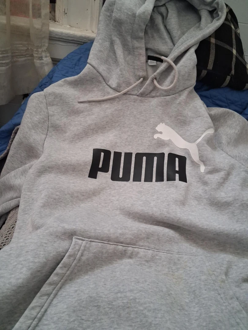 Puma Grey Hoodie