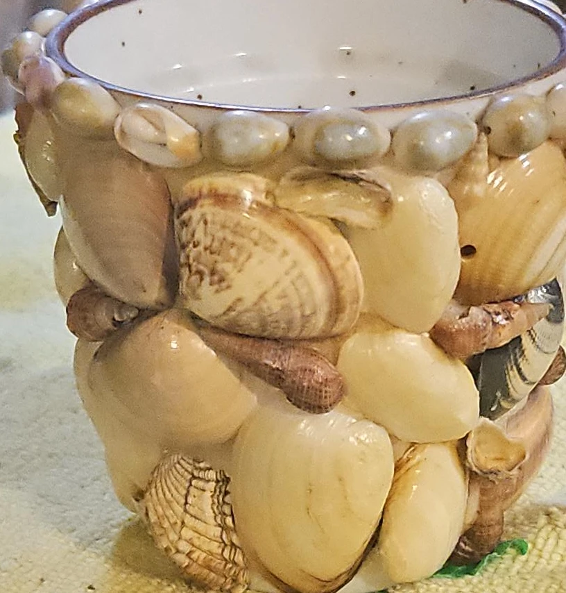 Decorative Shell-Covered Pot