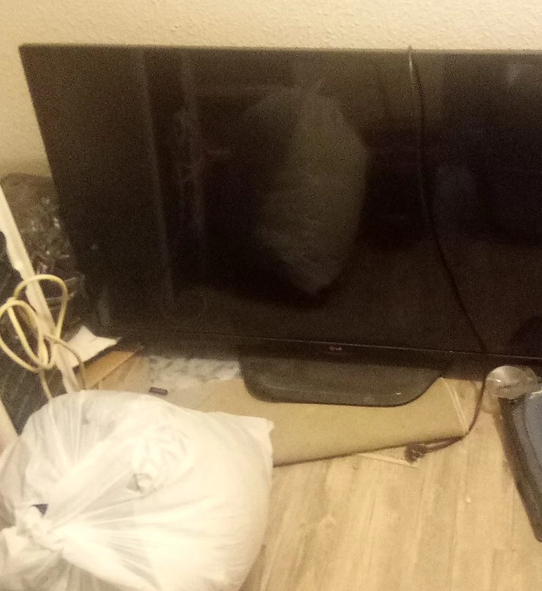 LG Flat Screen Television