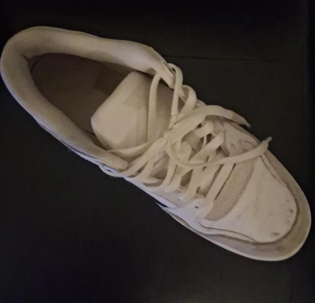 Nike Dunk Low White Sneakers
