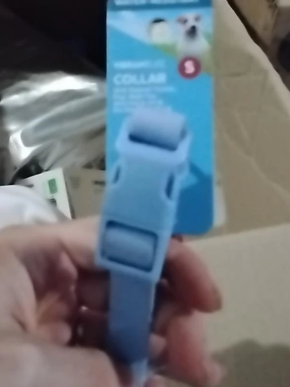 Vibrant Life Small Dog Collar