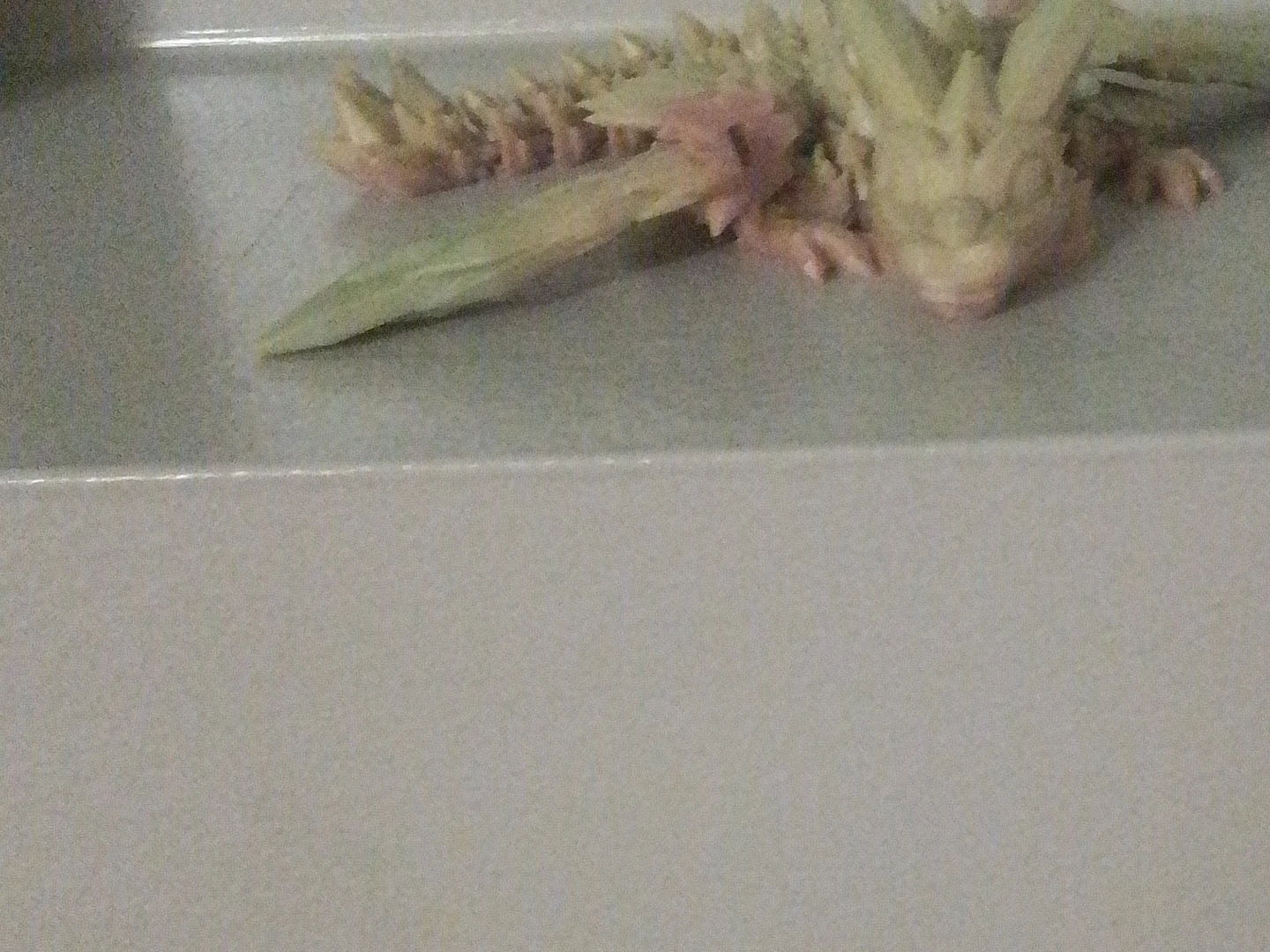 3D Printed Articulated Dragon