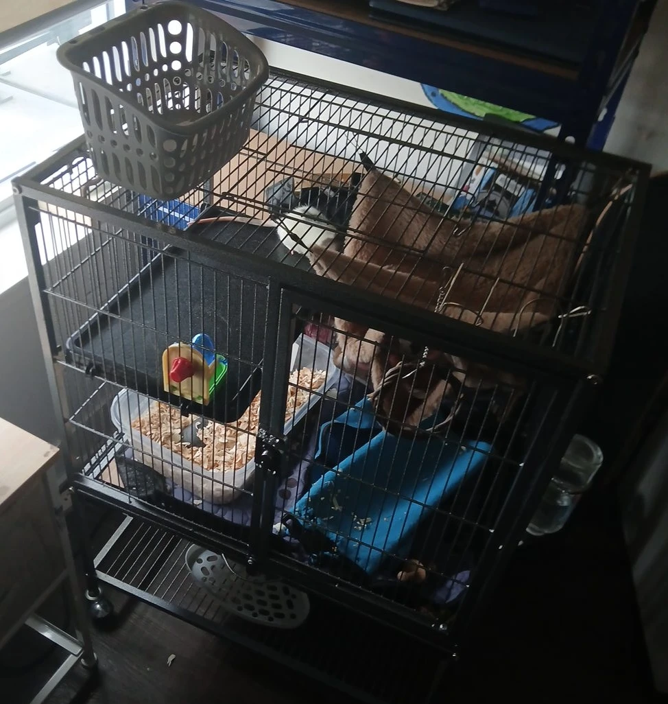 Large Black Metal Small Pet Cage