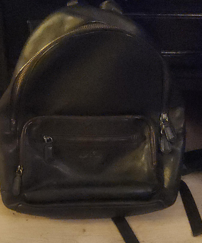 Longchamp Leather Backpack