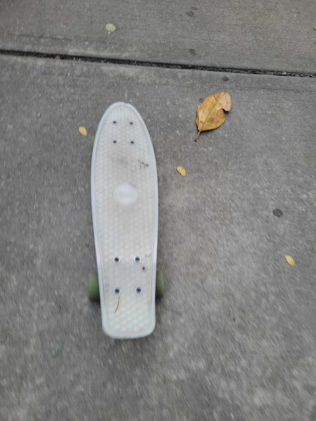 Penny Board Skateboard