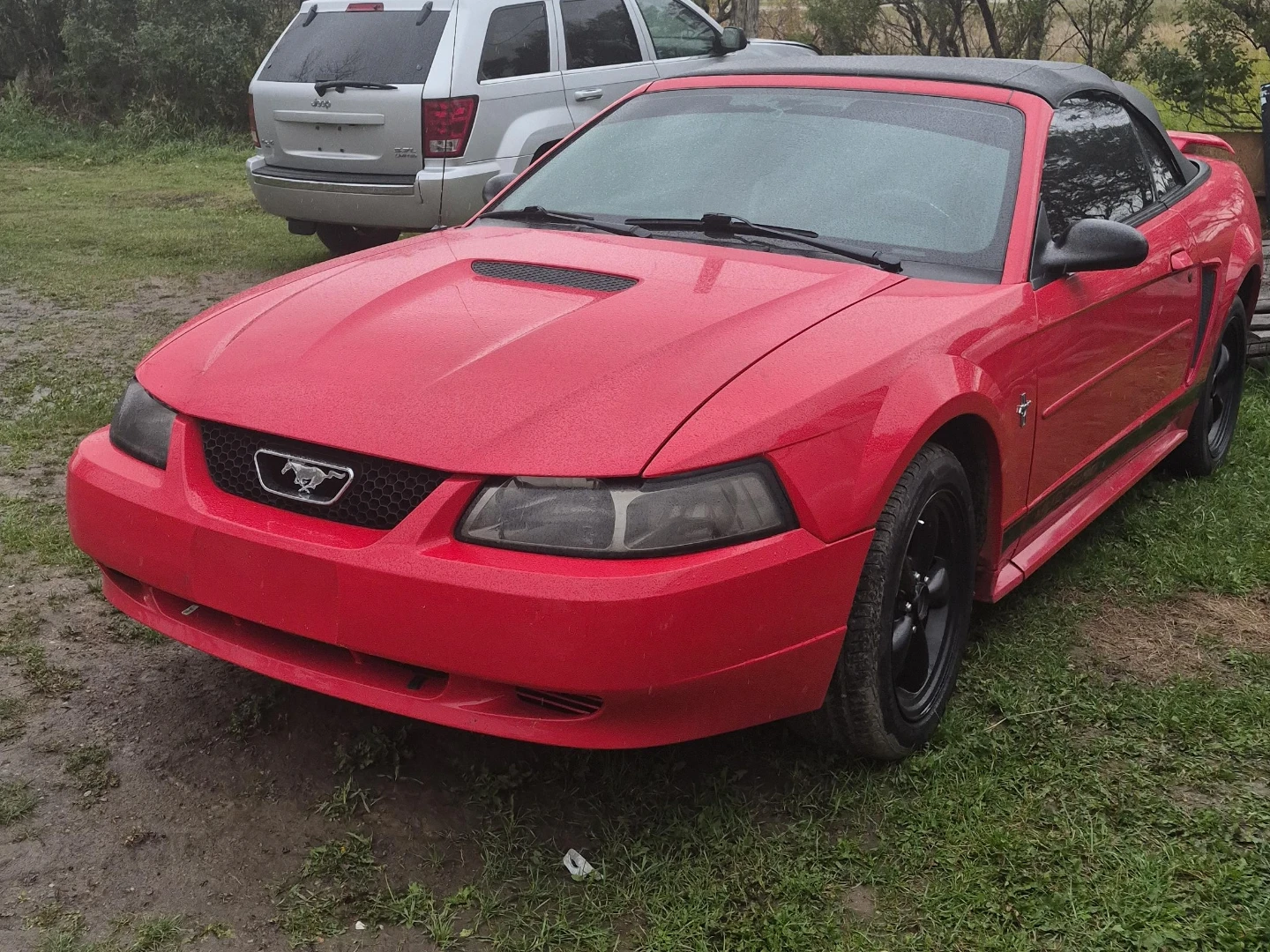 Red Ford Mustang Convertible