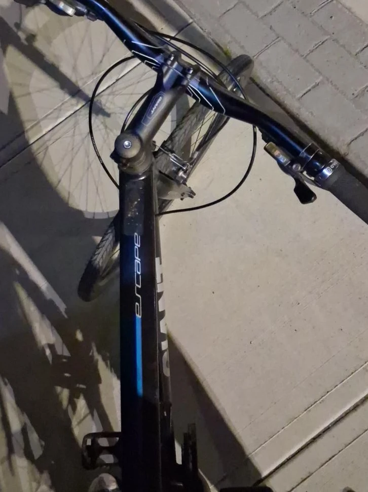 Giant Escape Hybrid Bike