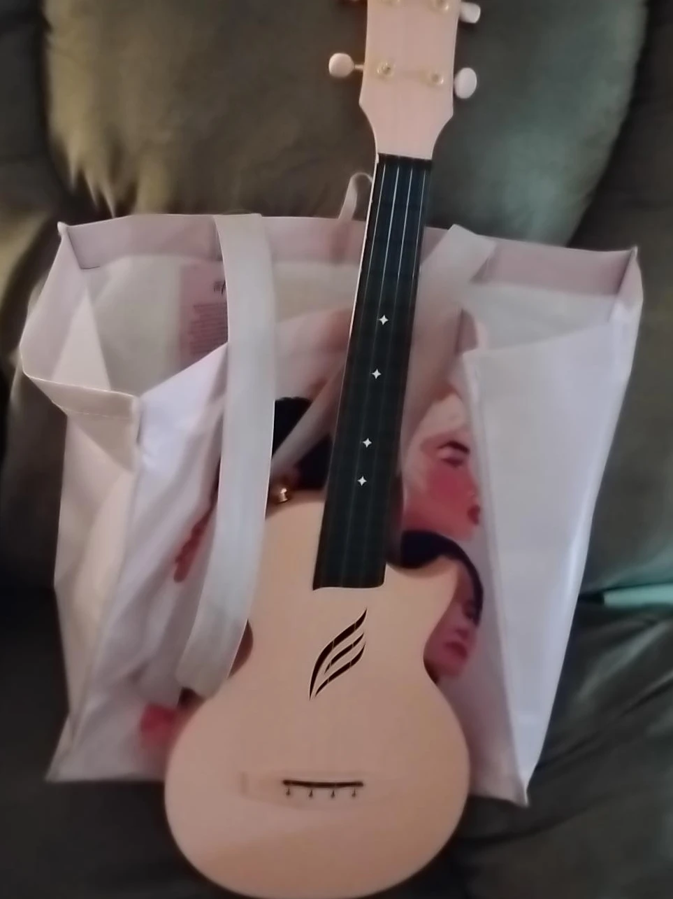 Enya Nova U Concert Ukulele