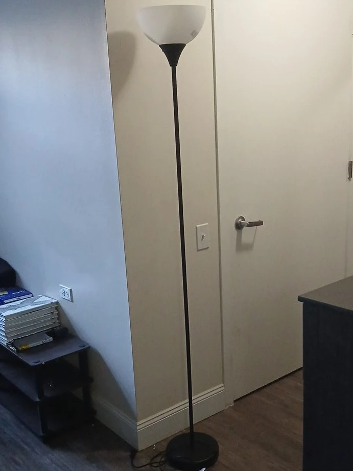 Black Floor Lamp
