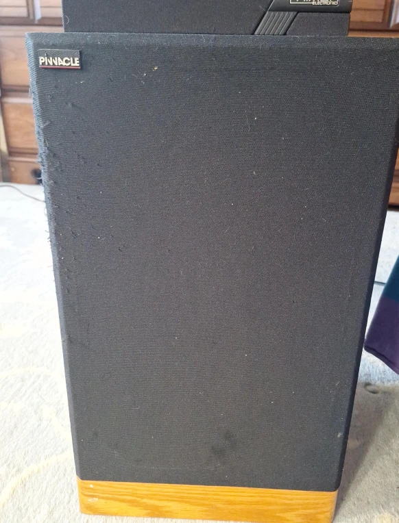 2 Pinnacle PN8+ Speakers