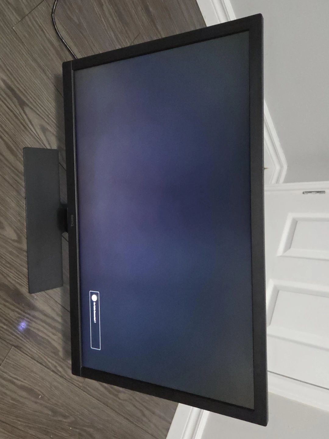 BenQ Computer Monitor
