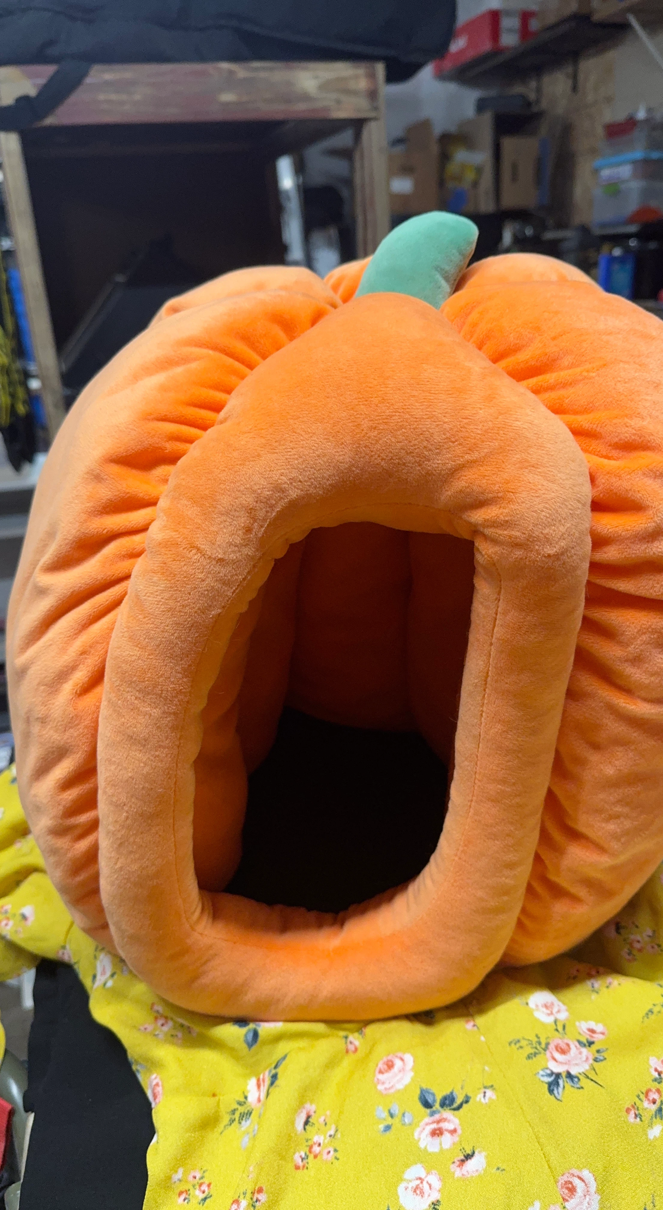 Pumpkin Shaped Pet Bed