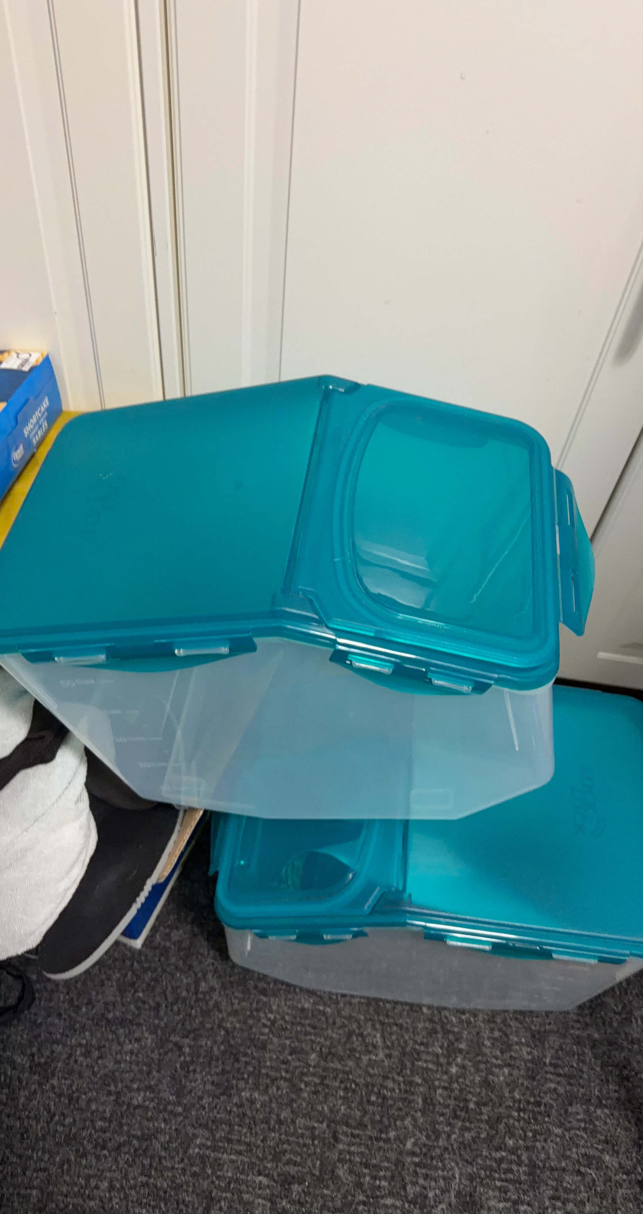 Lock & Lock Storage Containers (Set of 2)