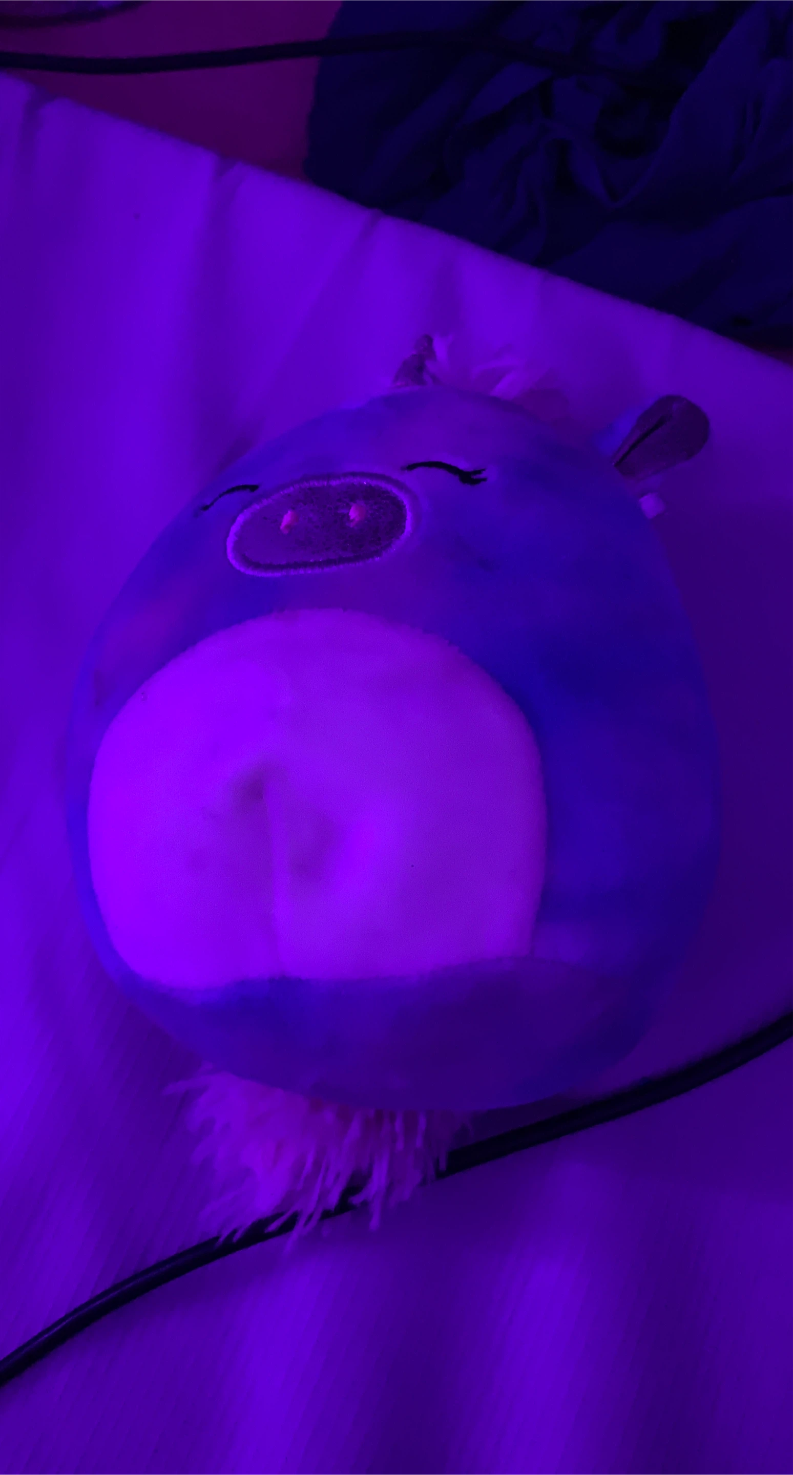 Squishmallows Blue Pig Plush