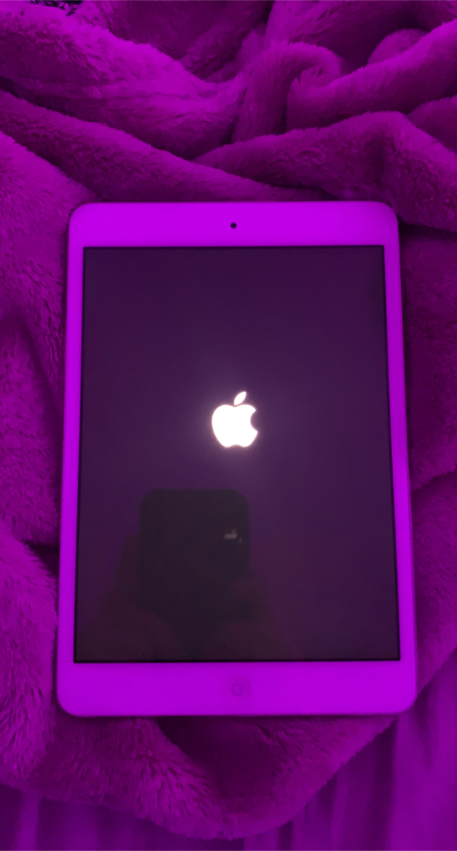 Apple iPad mini