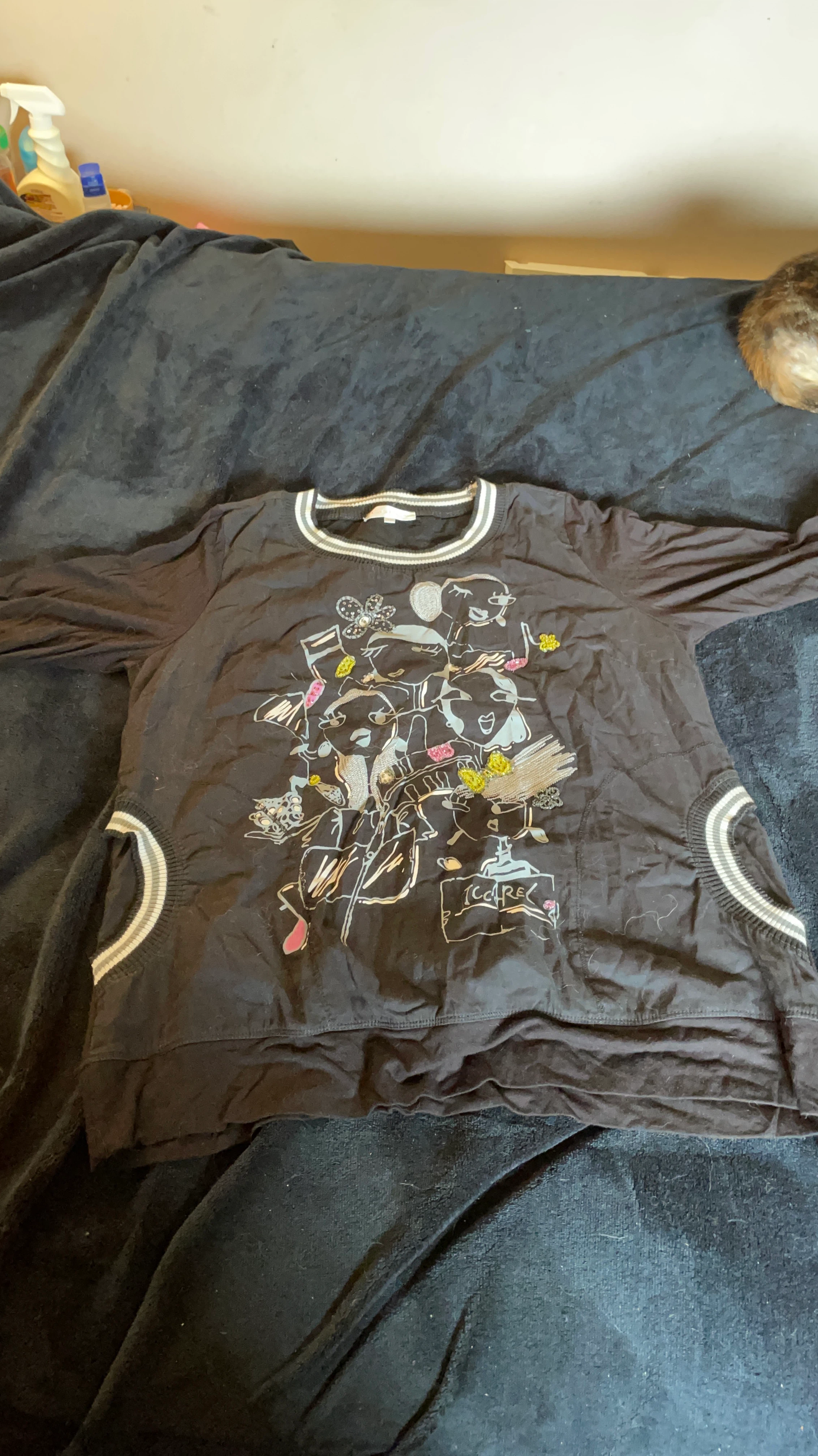 Iccarel Graphic Long Sleeve Top