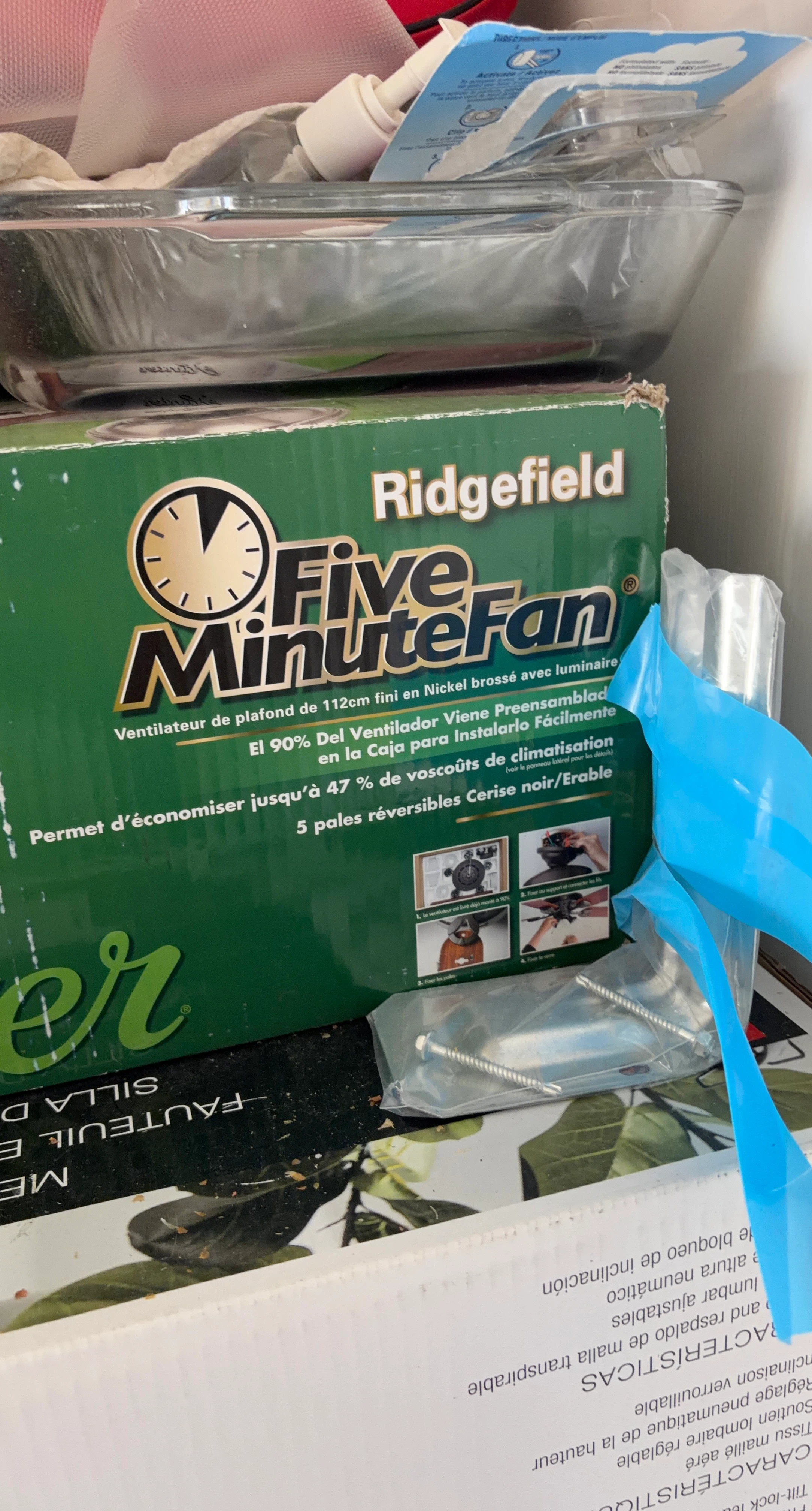 Hunter Ridgefield Five Minute Fan
