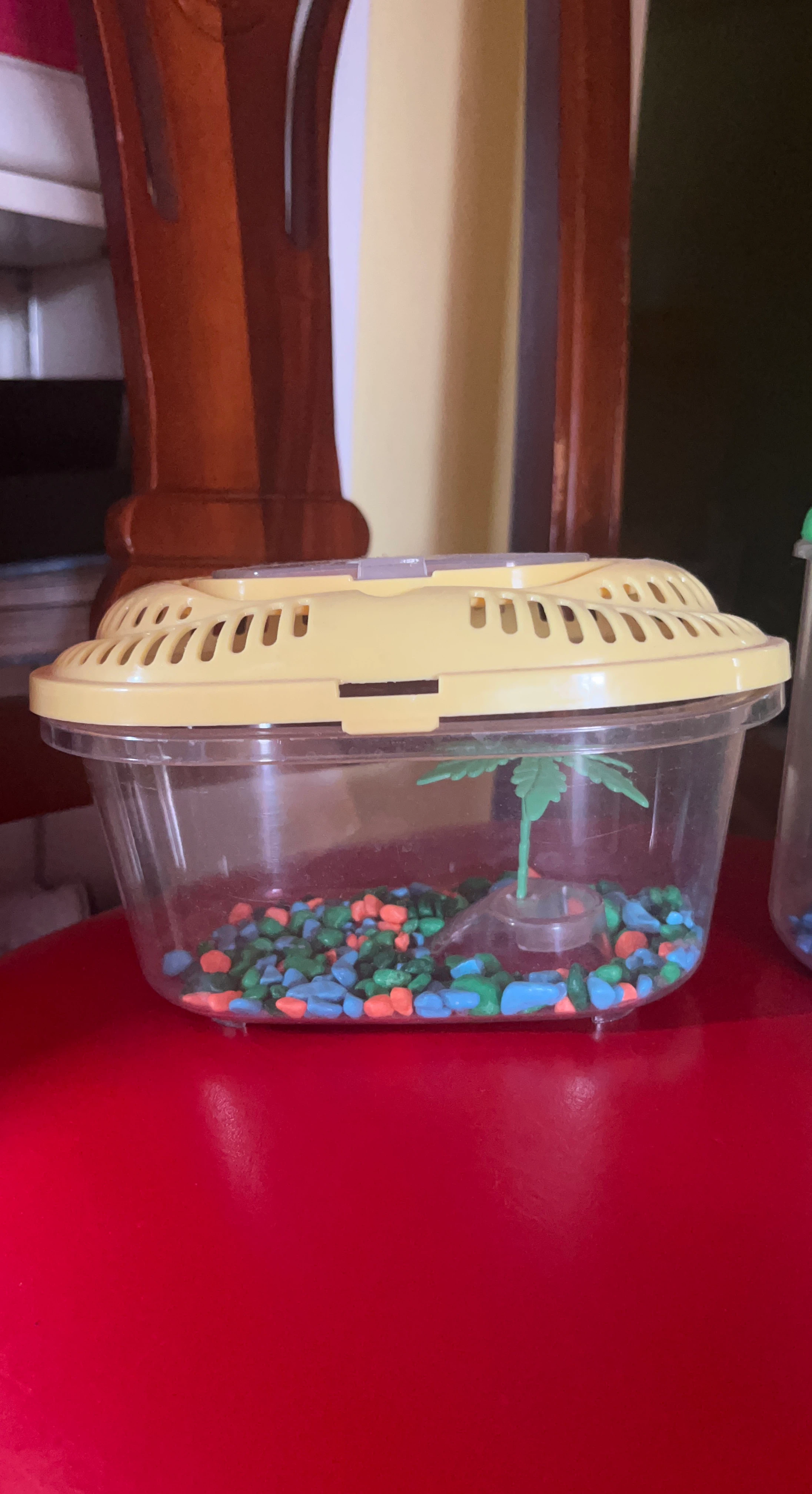 Very Small Plastic Fish Carrier with Accessories