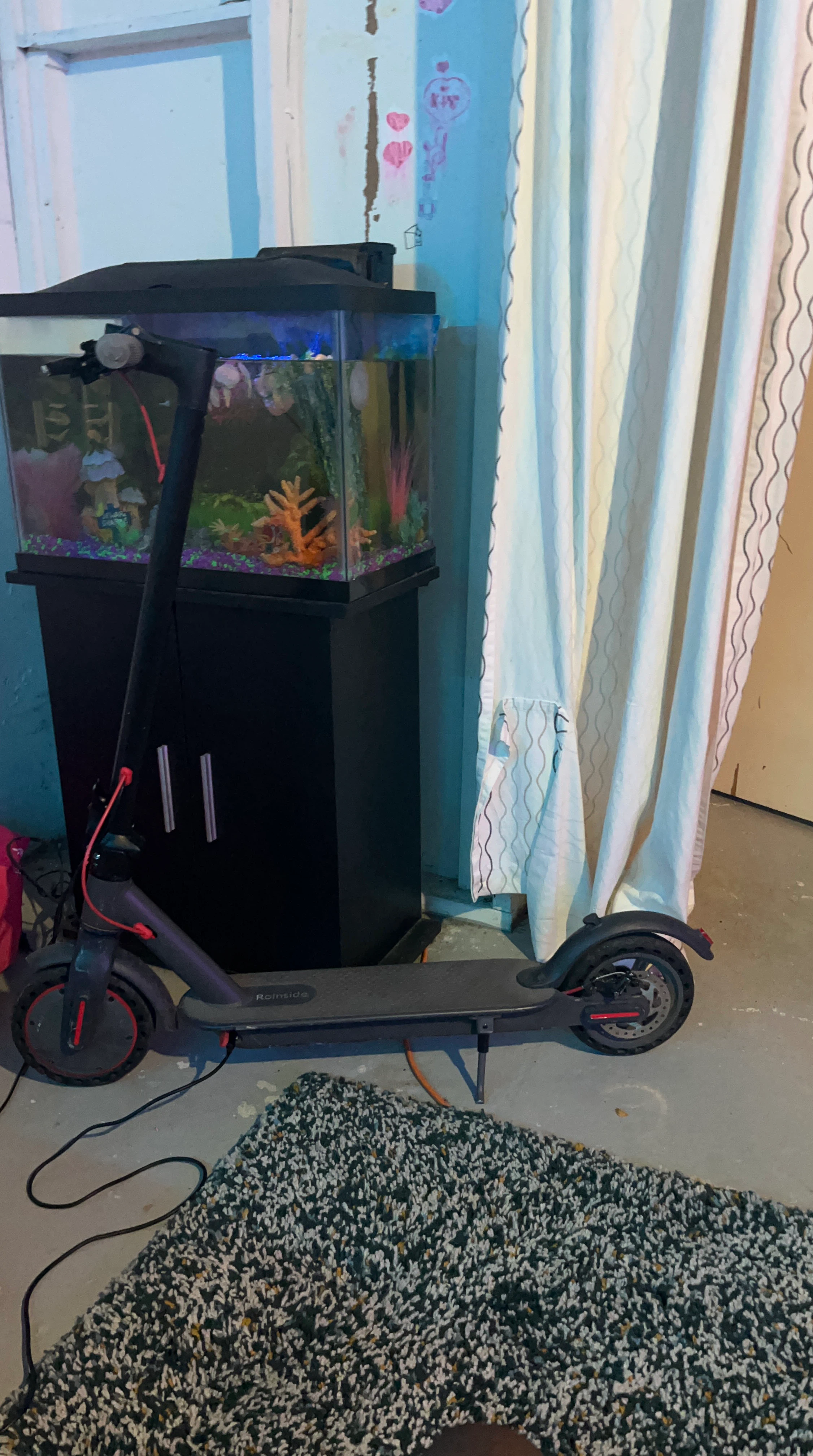 Roinside Electric Scooter