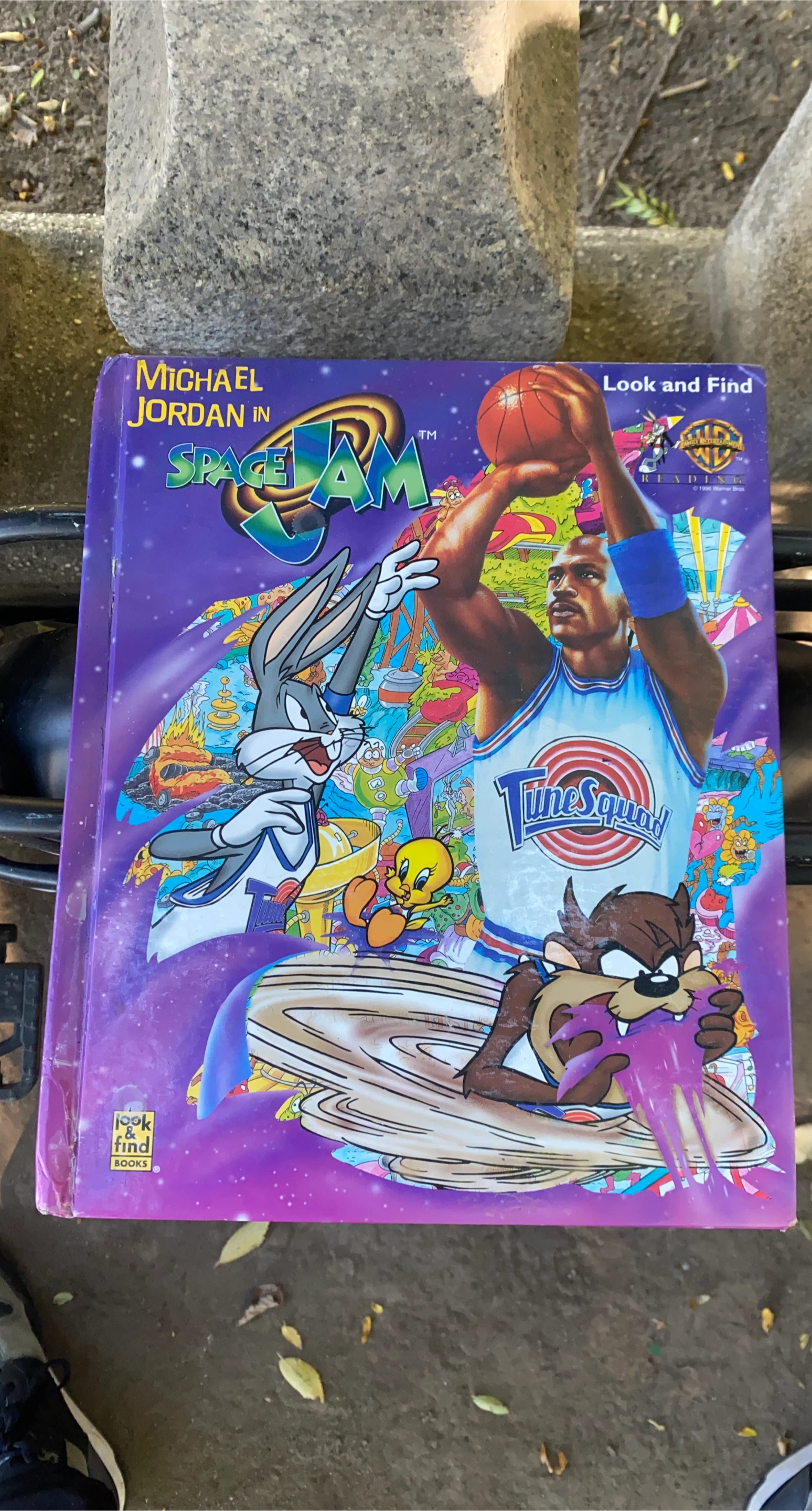 Space Jam Look and Find Book