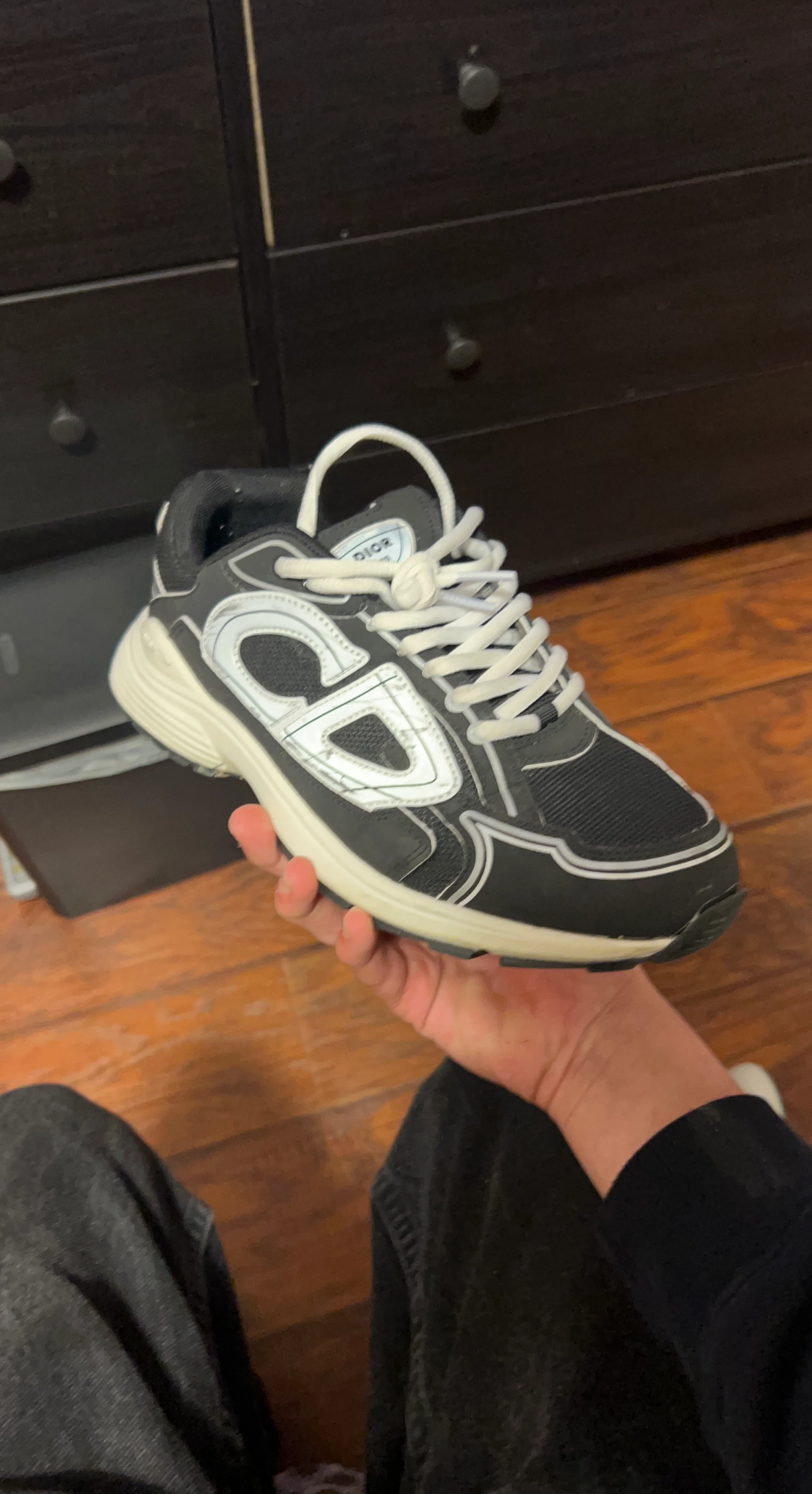 Dior B30 Sneakers Black and White