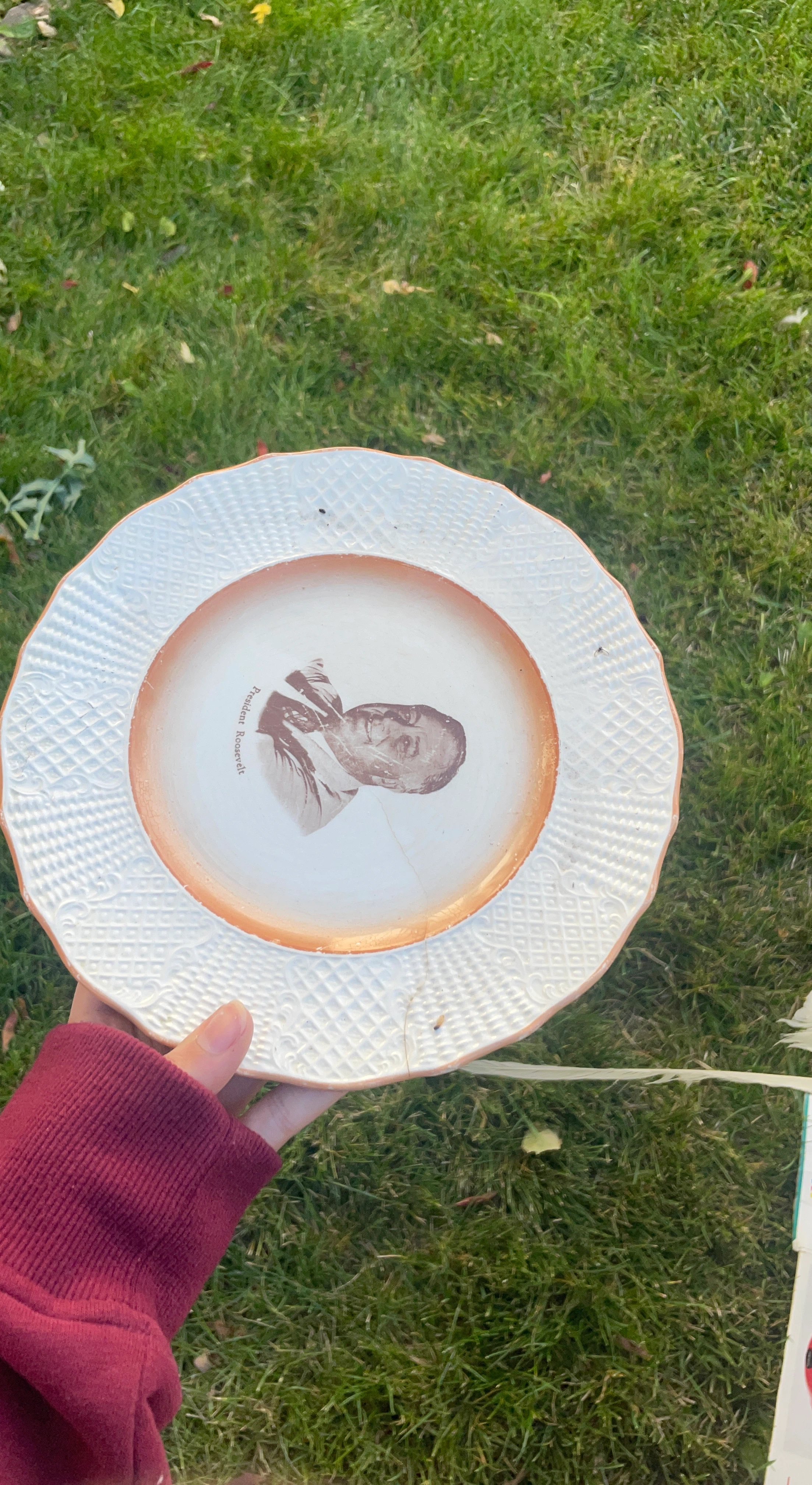 Vintage President Roosevelt Commemorative Plate