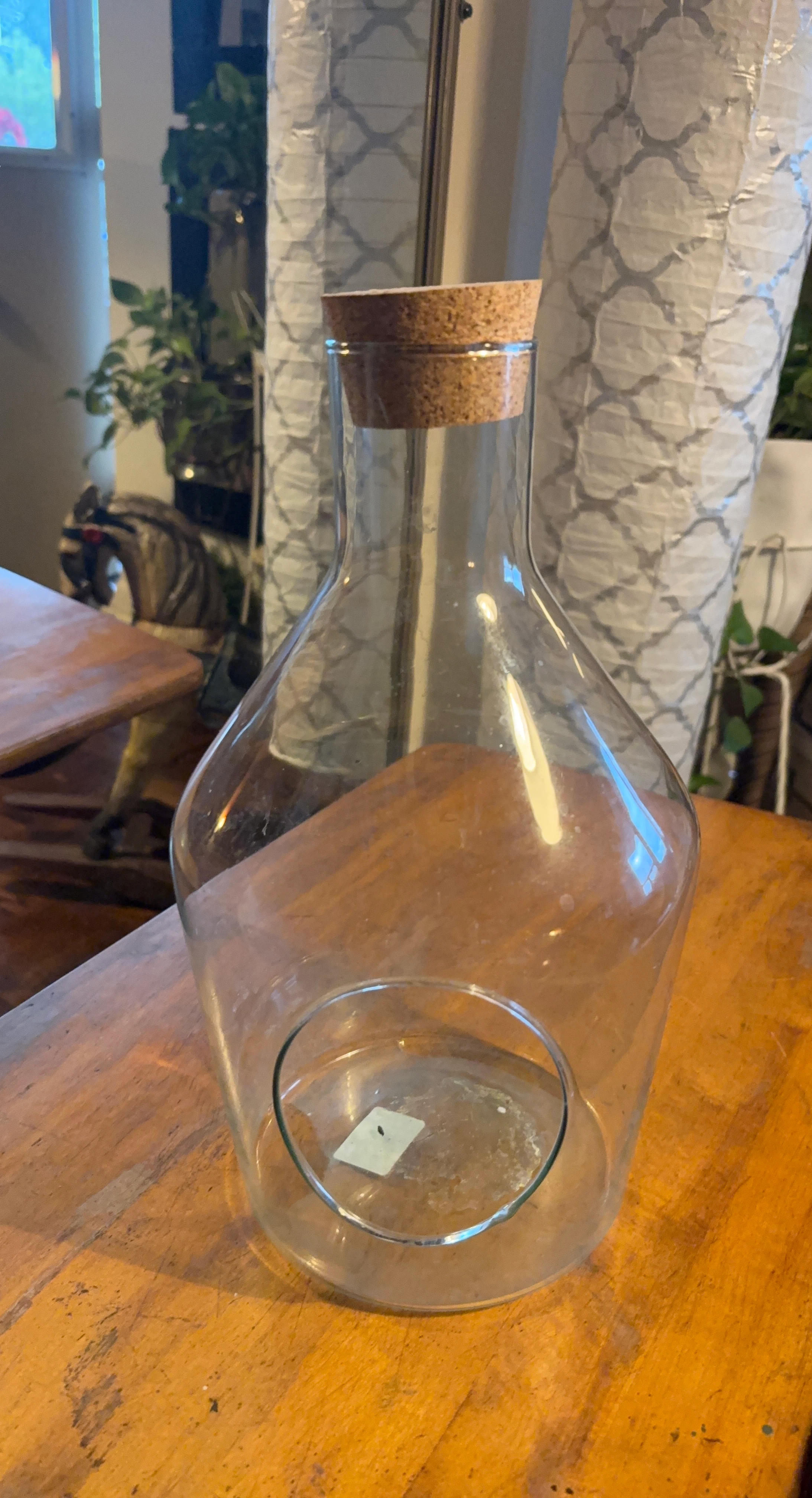 Clear glass terrarium vessel with cork lid