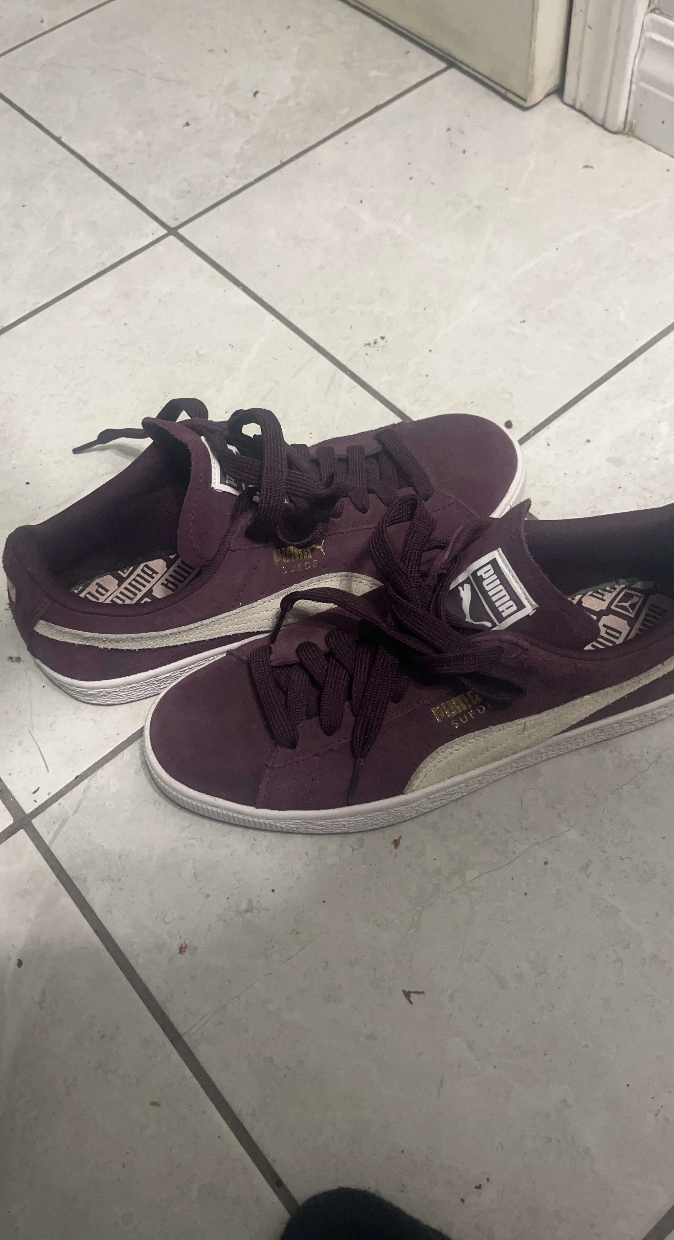 Puma Suede Burgundy Sneakers