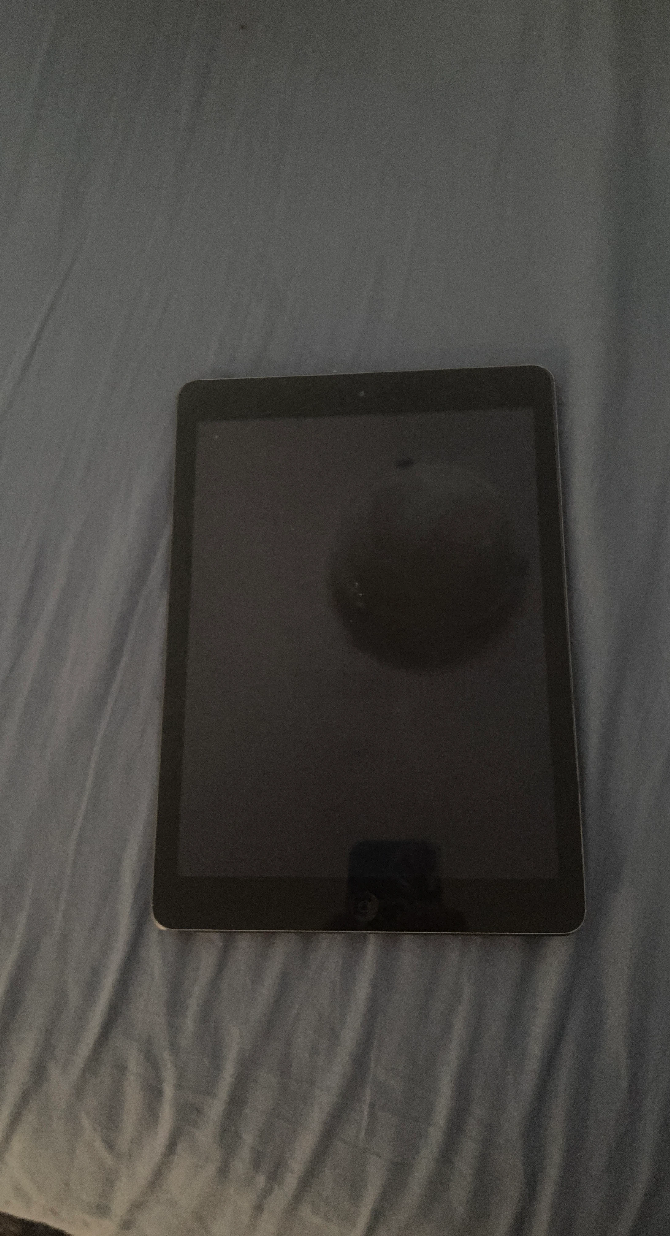 Apple iPad