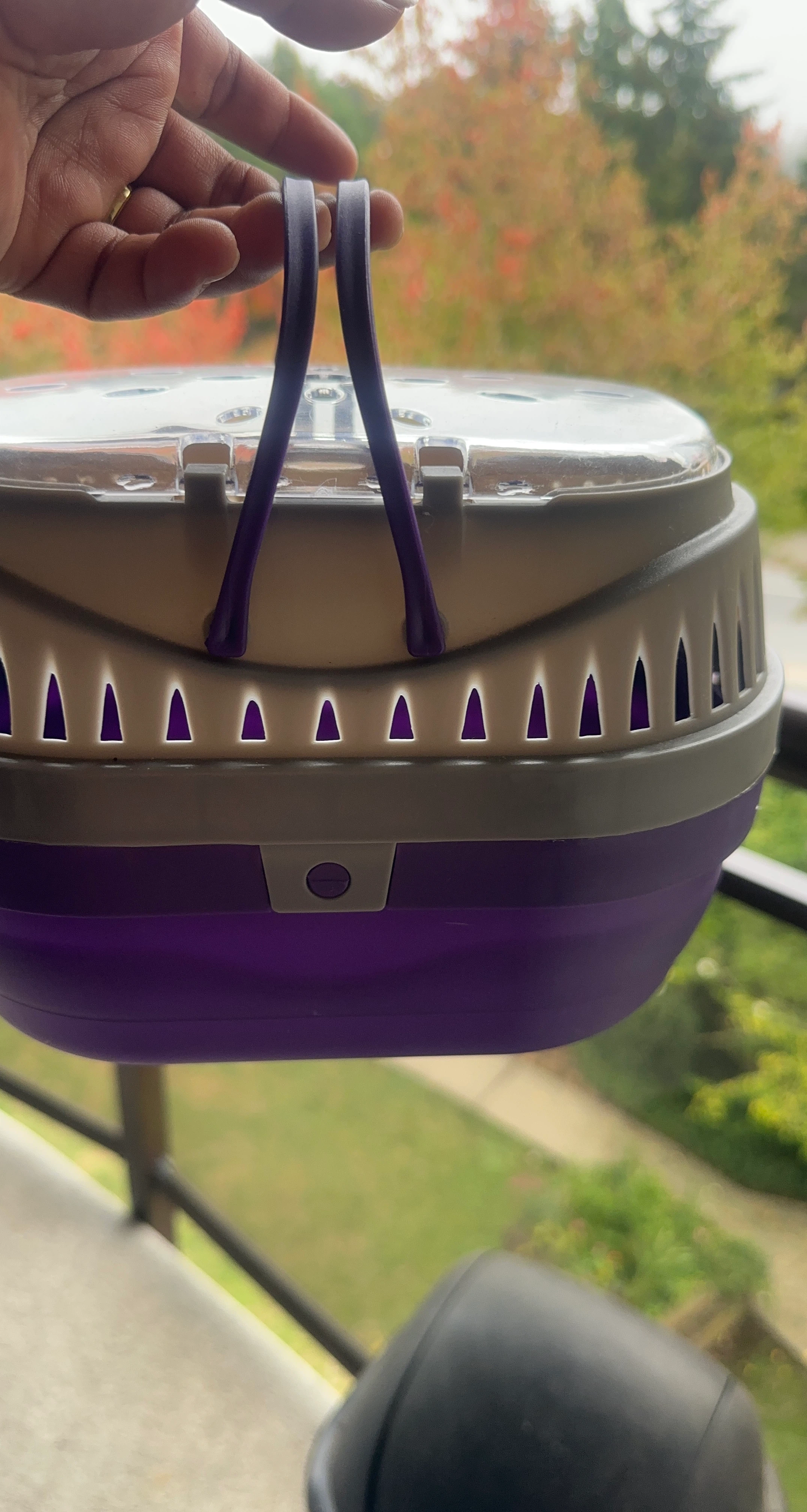 Small Pet Carrier