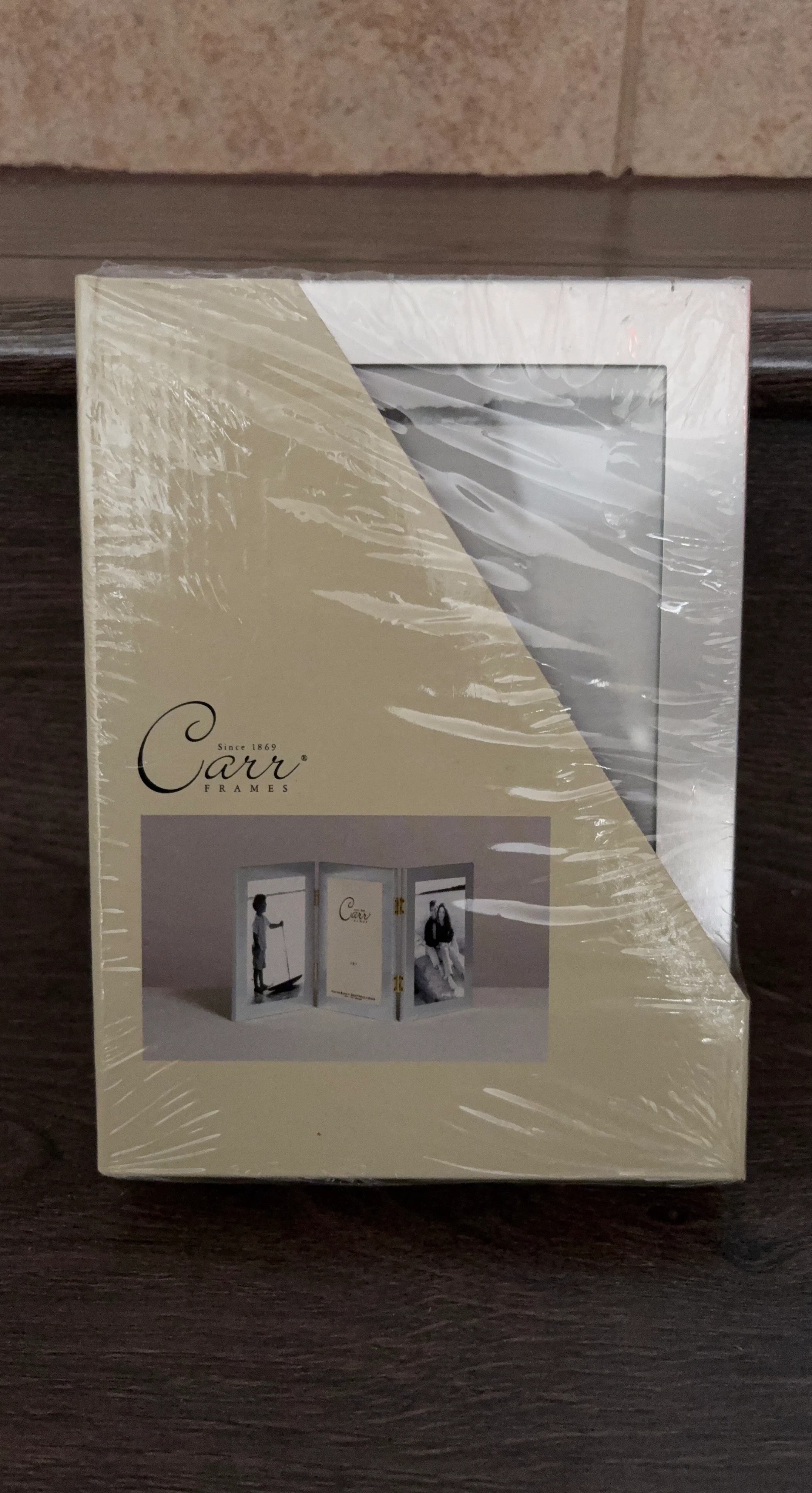 Carr Frames Triple Hinged Frame 4x6
