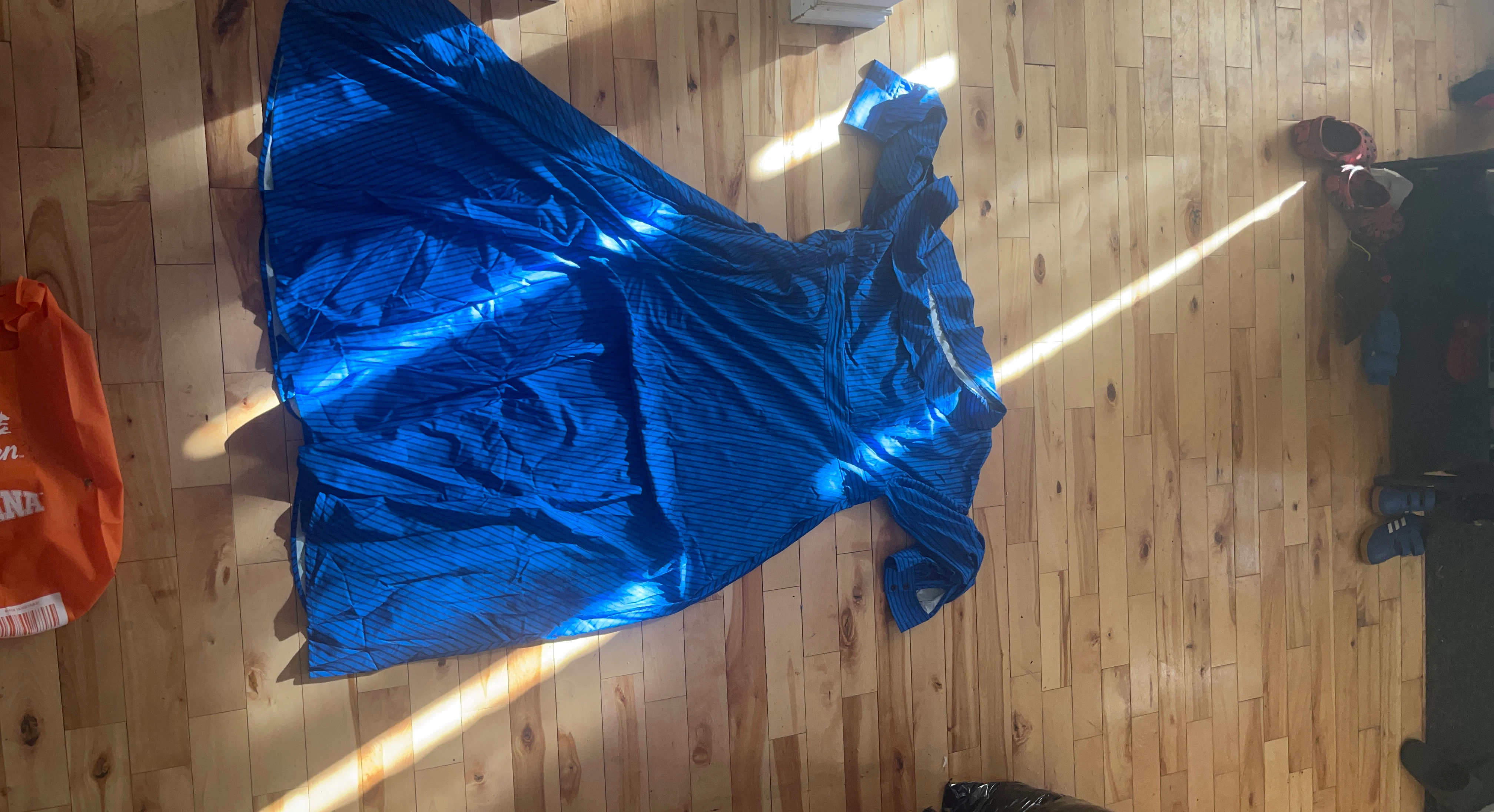 Long sleeved long Blue Striped Dress