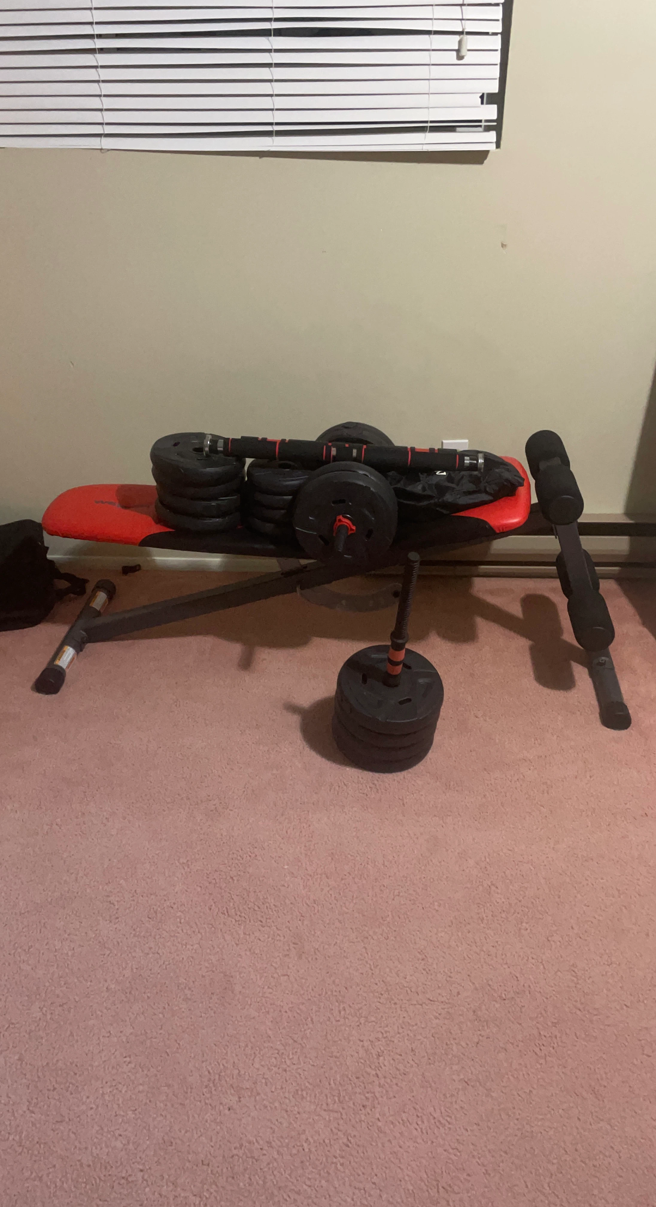 Weider Pro 255 L Weight Bench Set