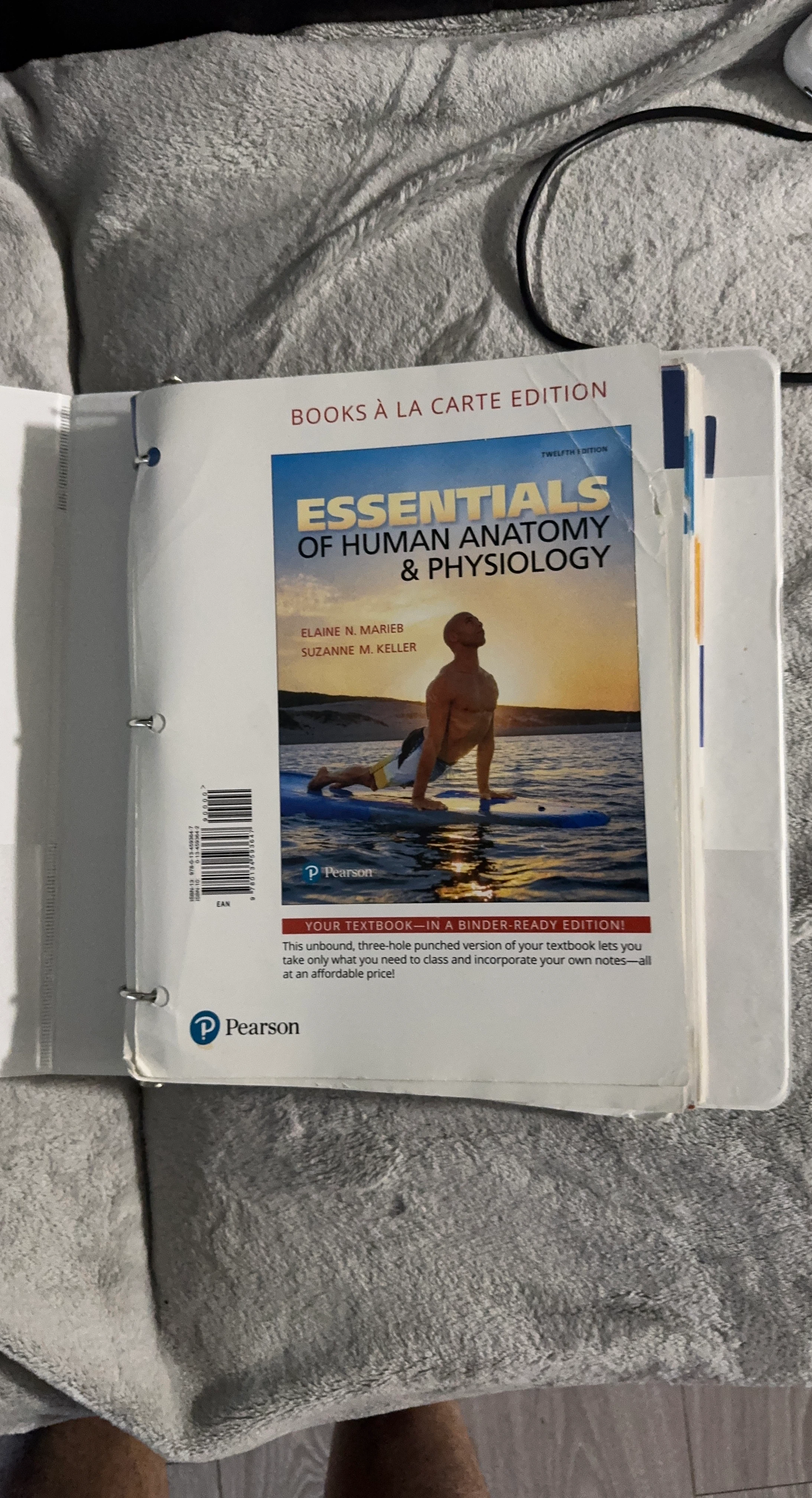 Essentials of Human Anatomy & Physiology 12th Ed Textbook
