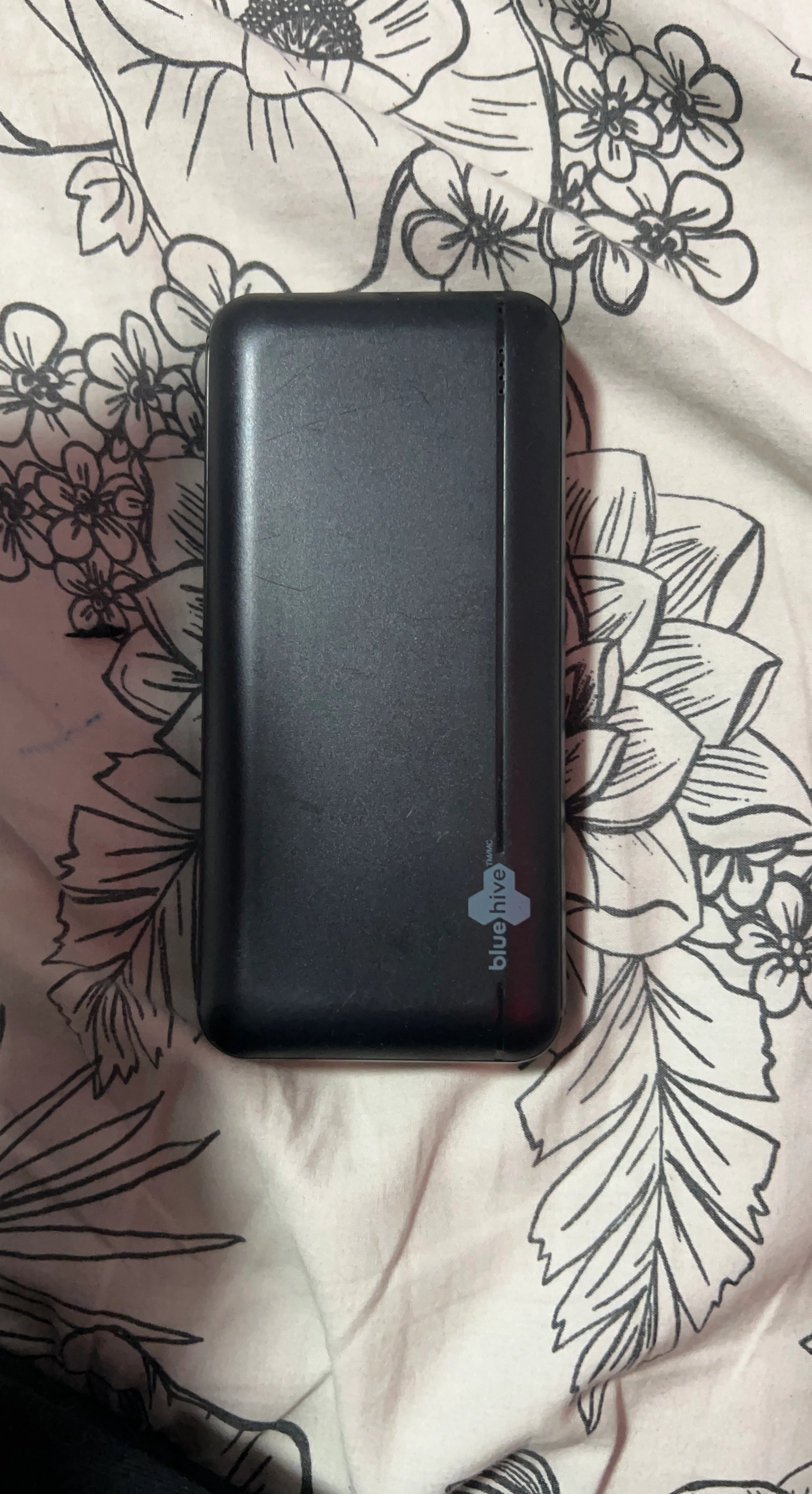 Blue Hive 20,000 mAh Power Bank