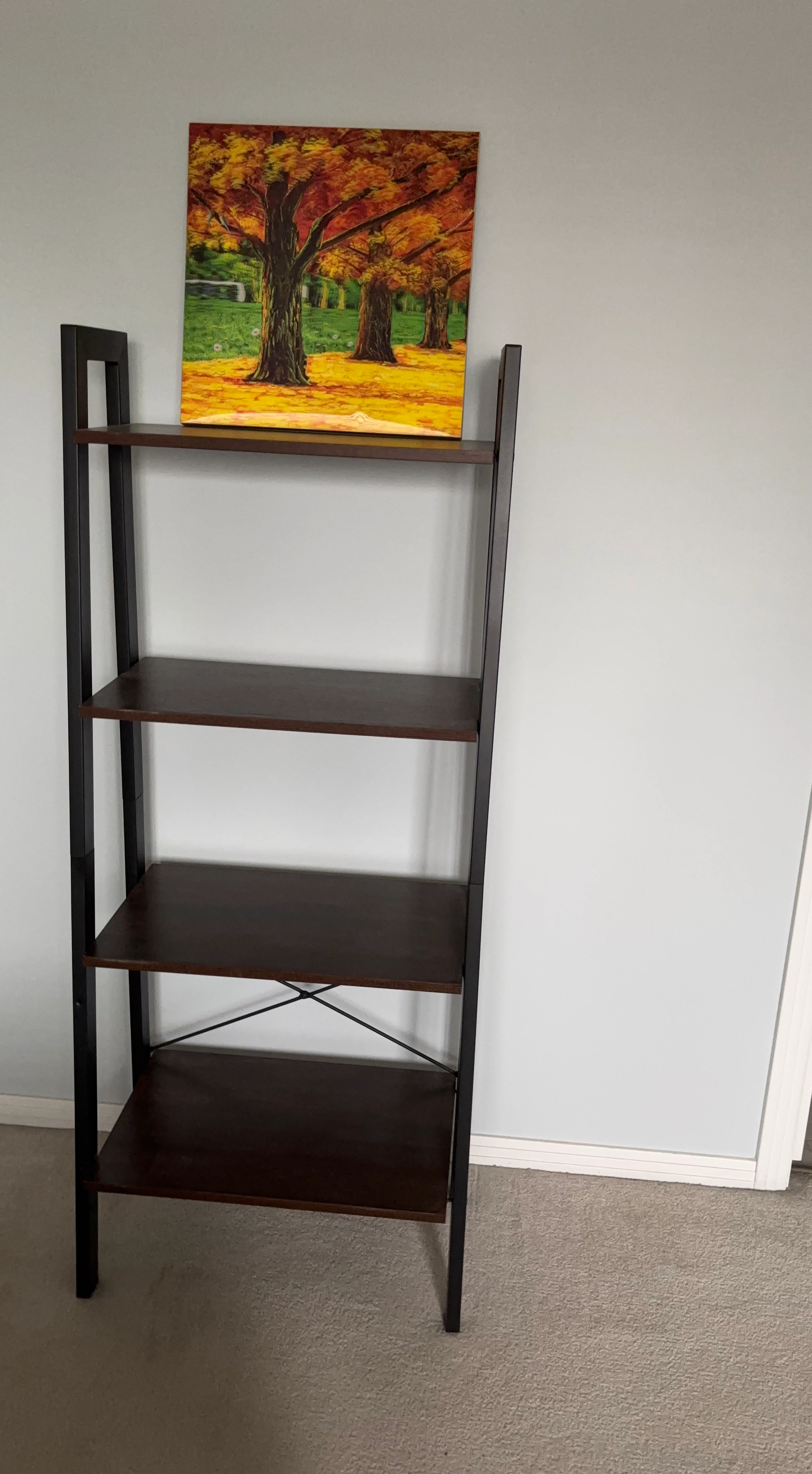 4-Tier Metal and Wood Shelf
