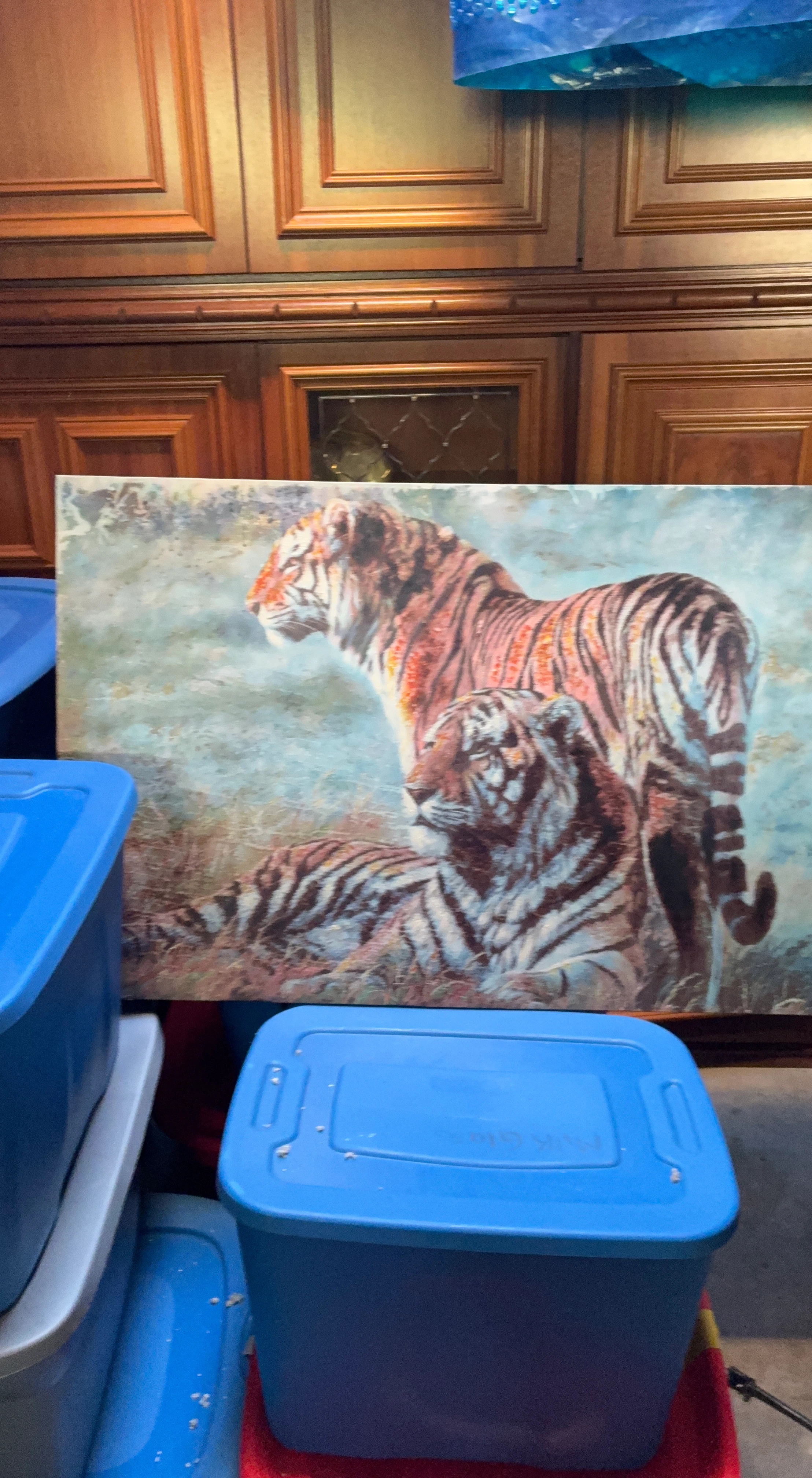 Tiger wildlife canvas wall art