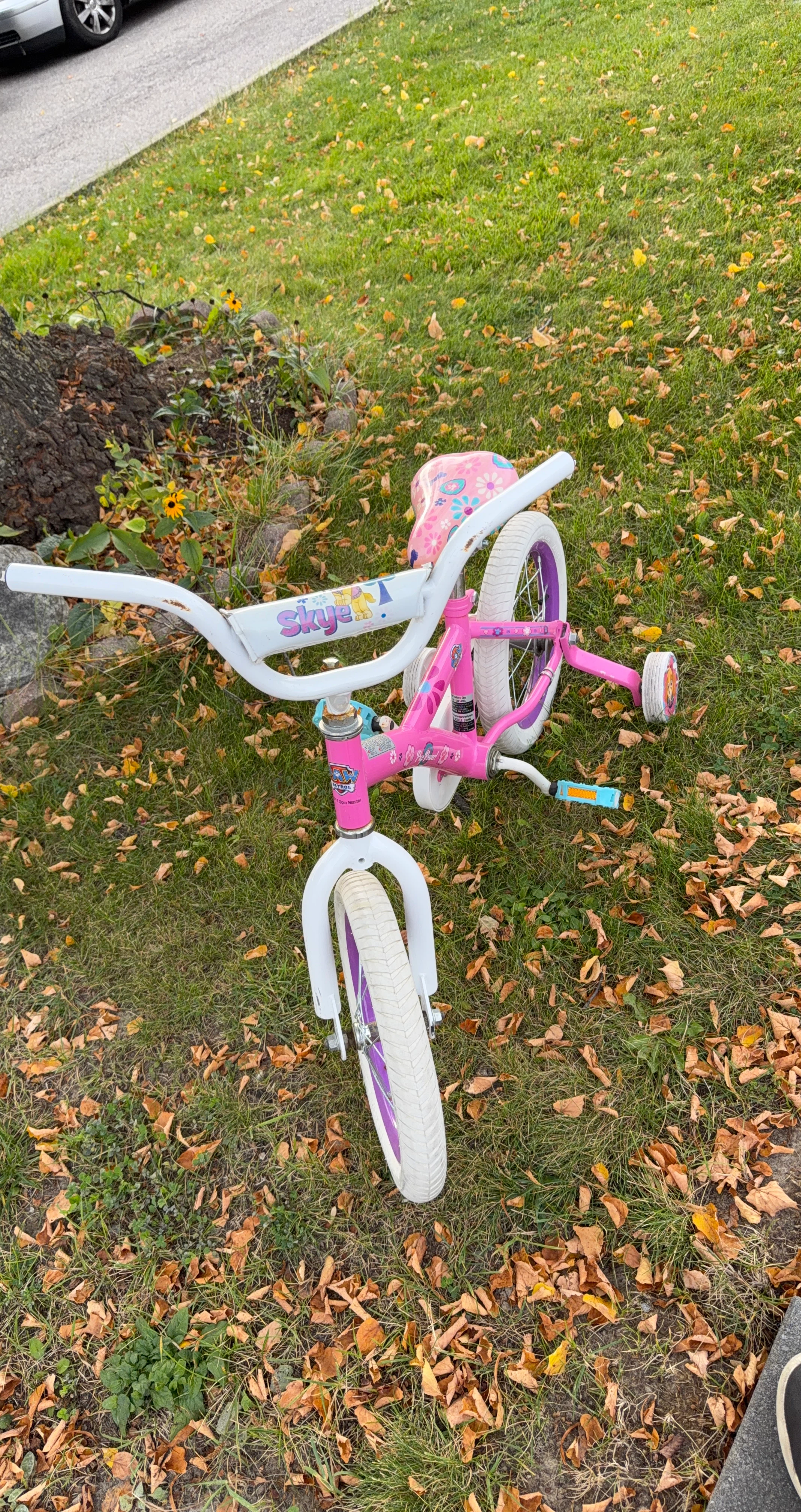 Paw Patrol Skye Bicycle