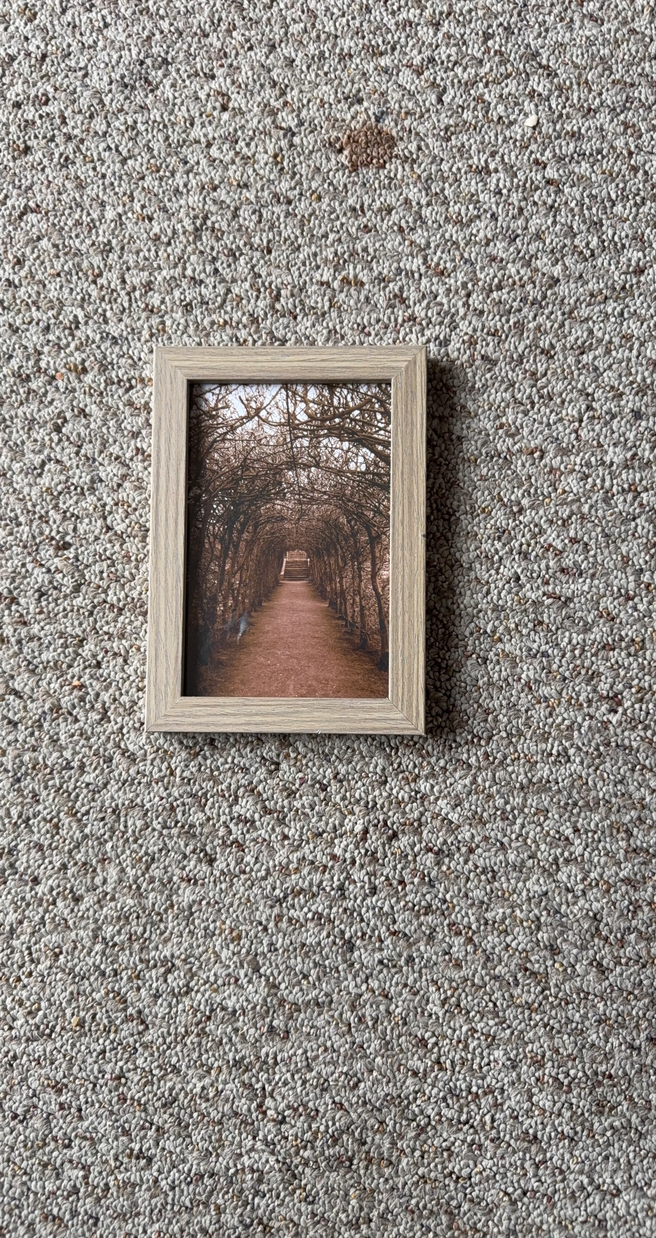Small Wood-Look Picture Frame