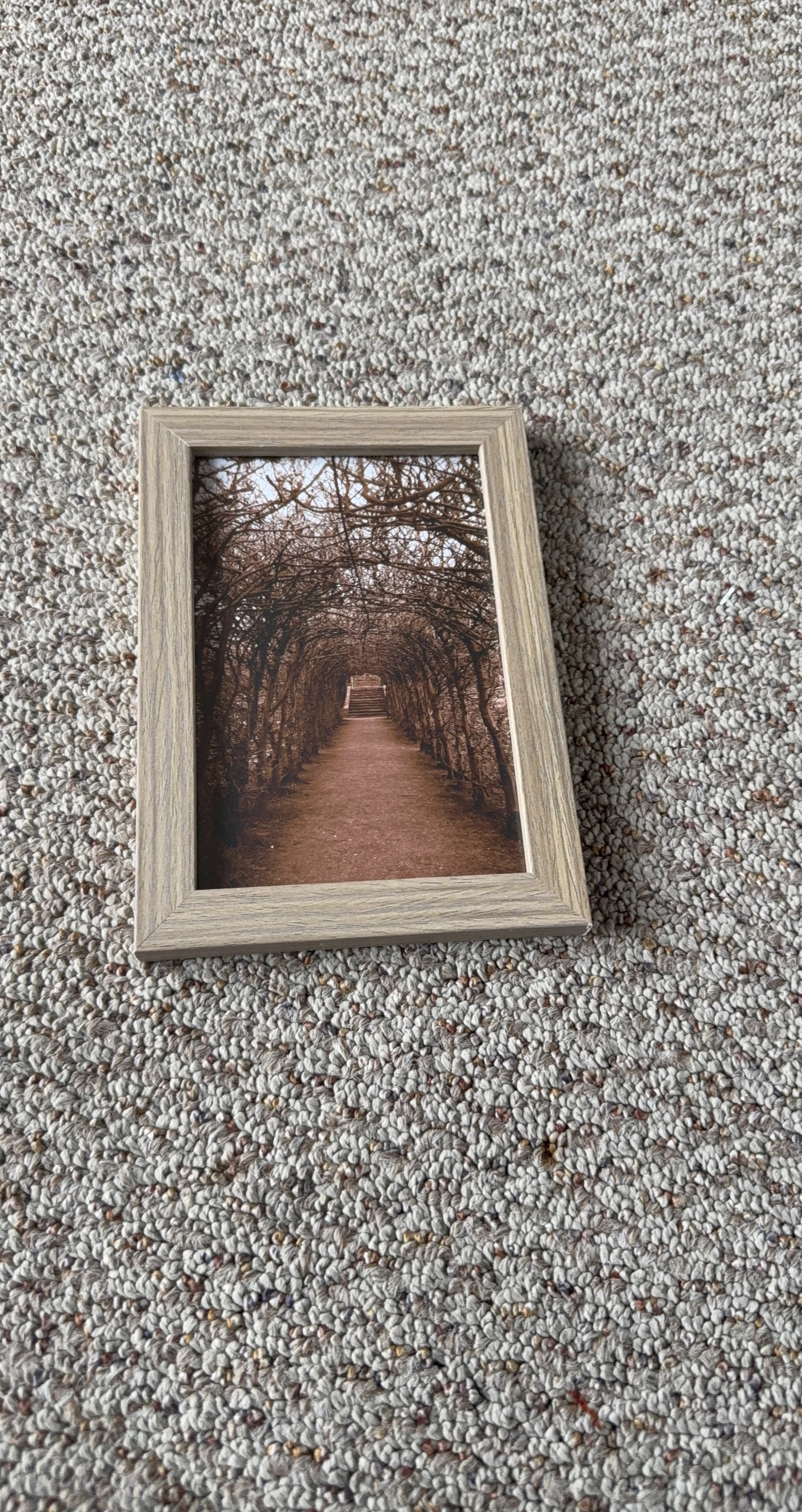 Small Wood Tone Picture Frame
