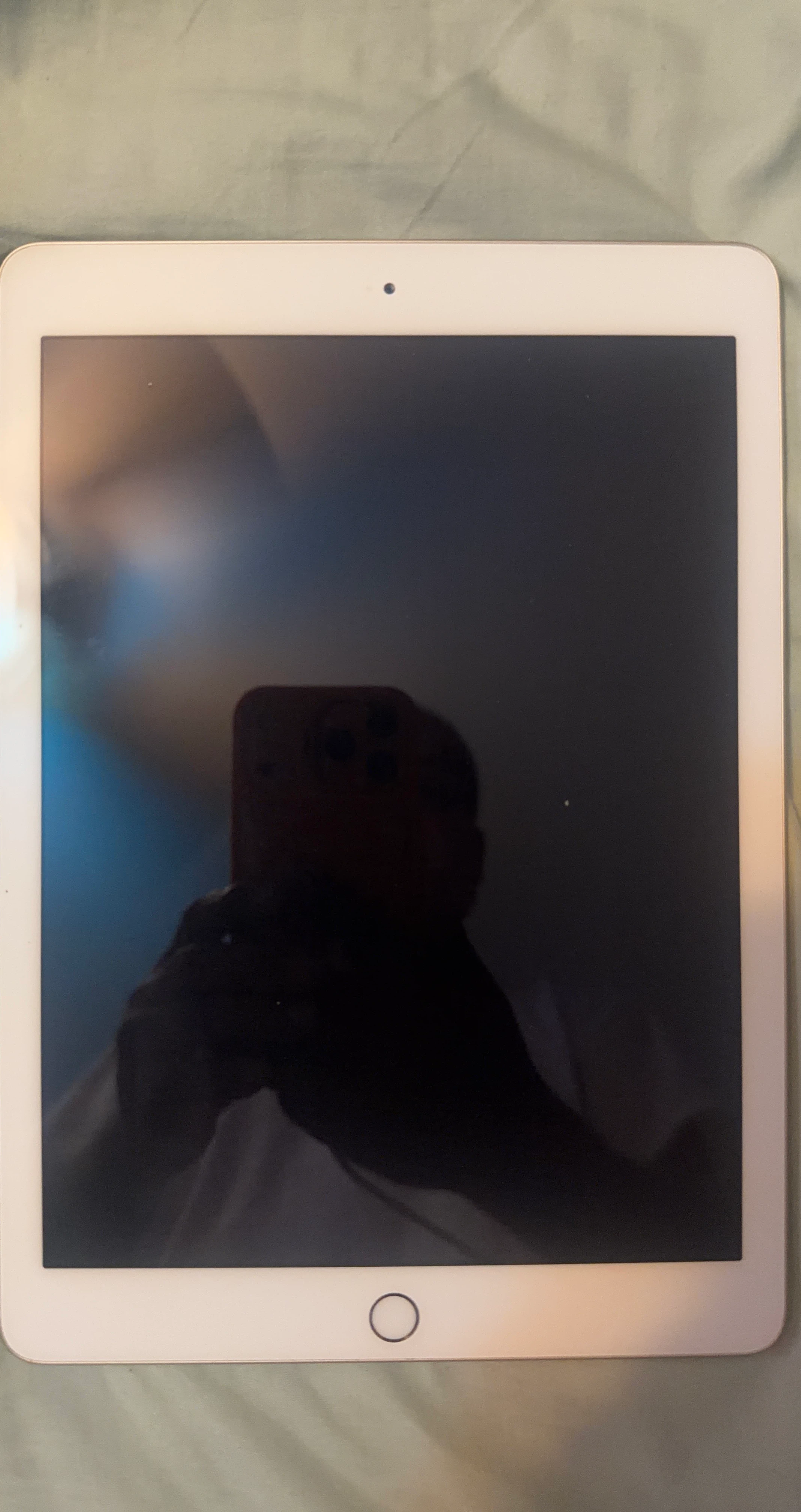 Apple iPad