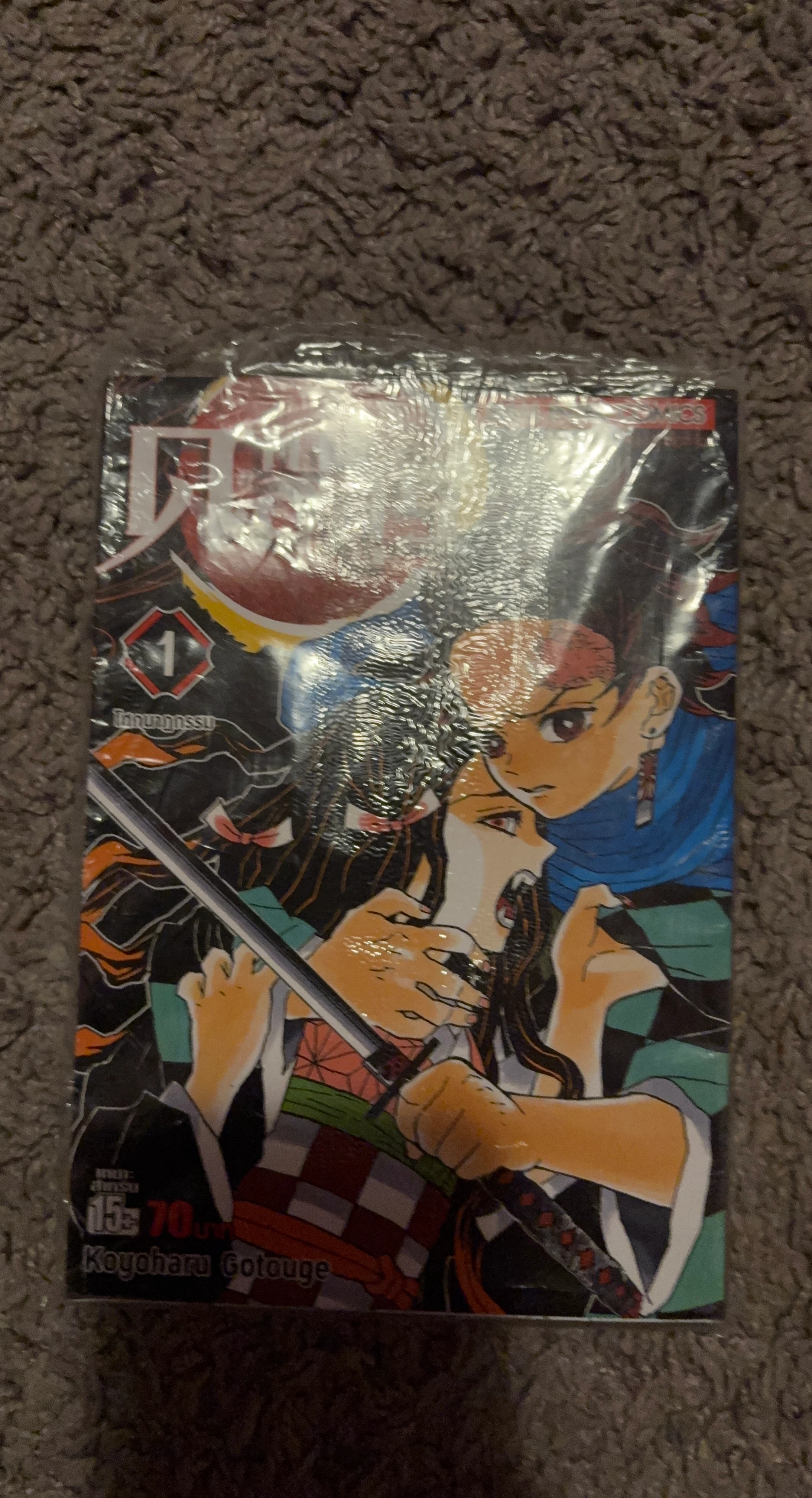 Demon Slayer Kimetsu no Yaiba Manga Vol. 1