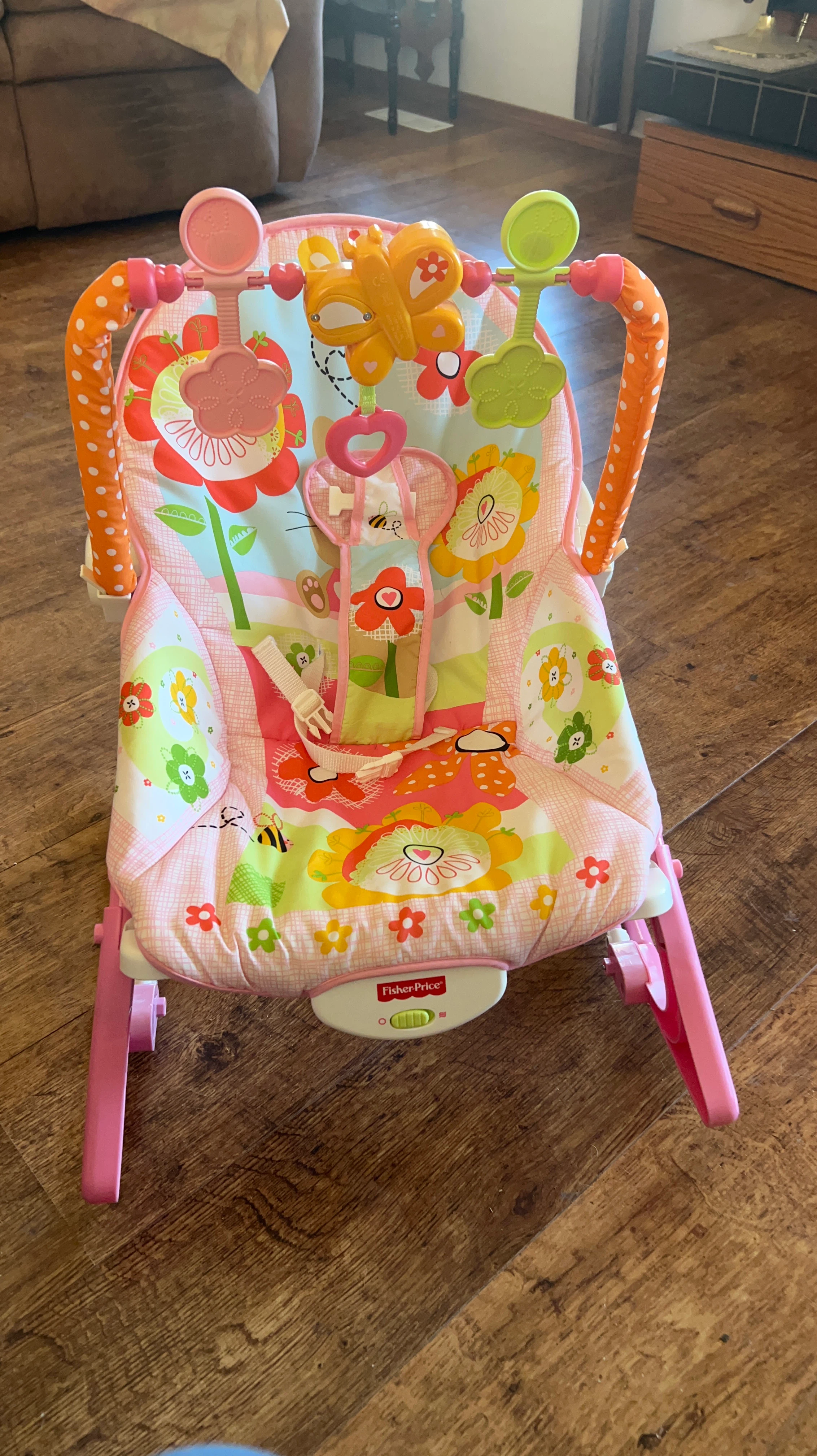 Fisher-Price Infant Bouncer