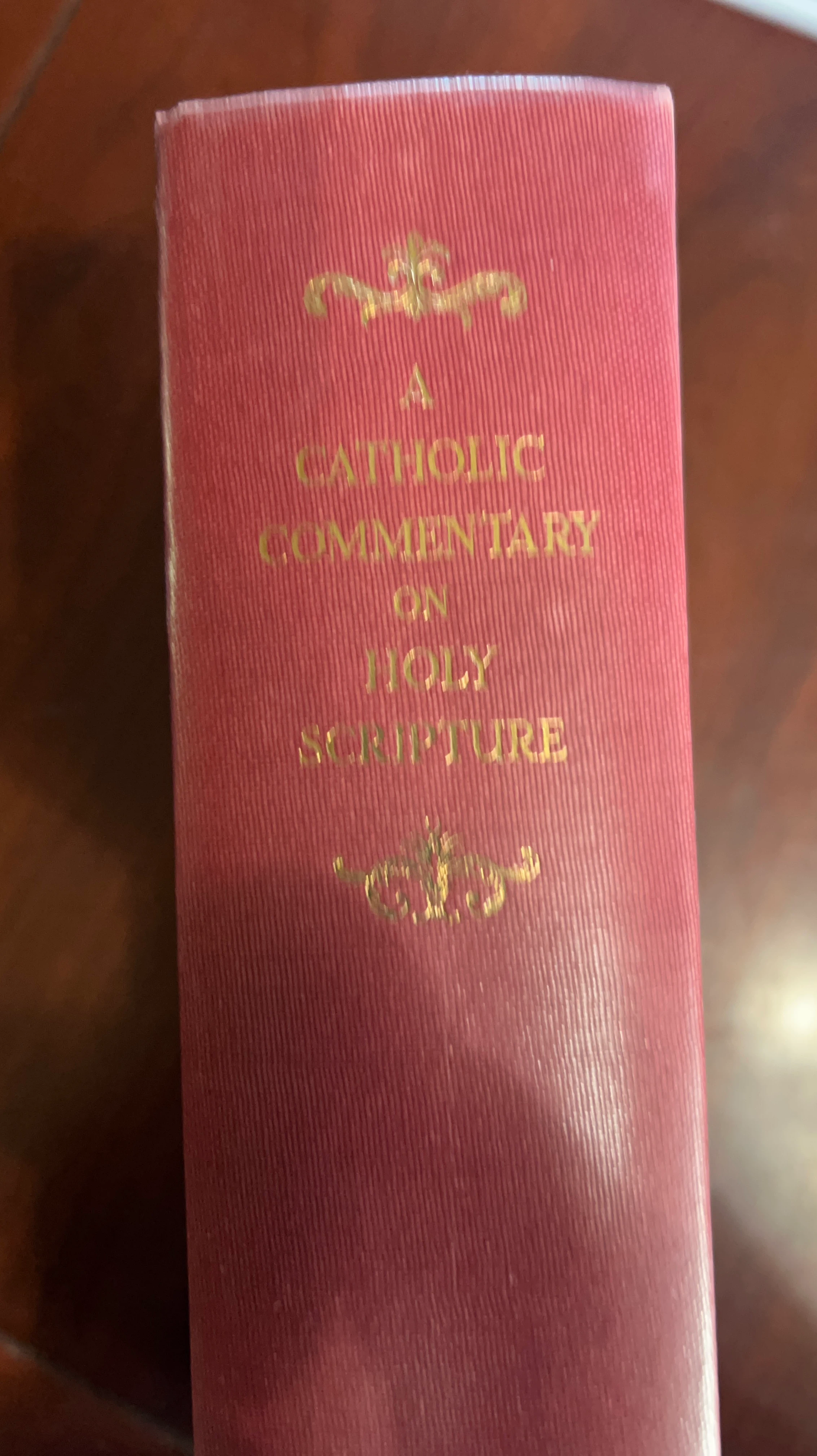 A Catholic Commentary on Holy Scripture